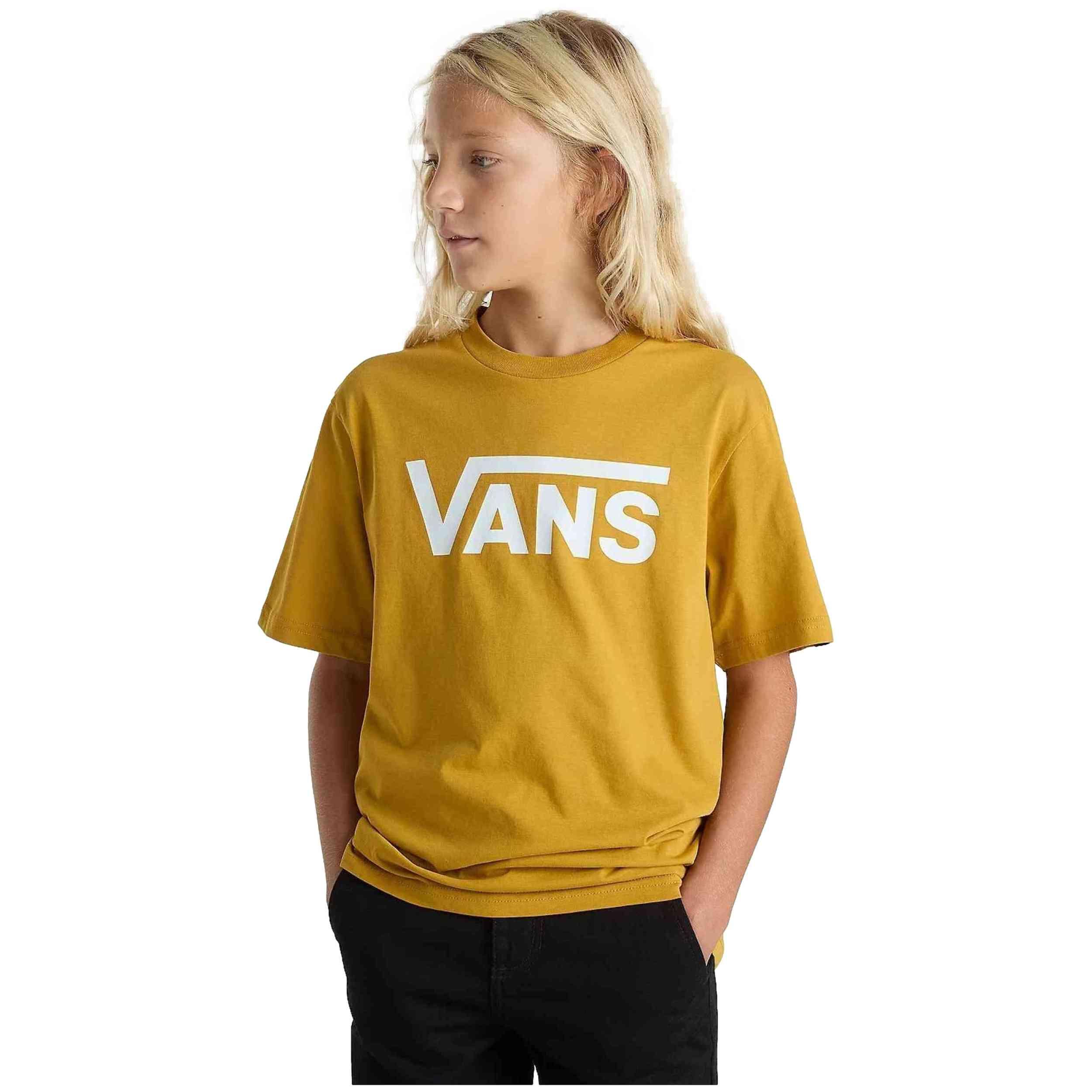 VANS picture