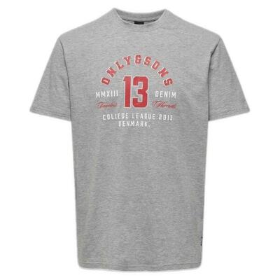 T-shirt met korte mouwen only & sons model 22028593-lightgrey voor mannen