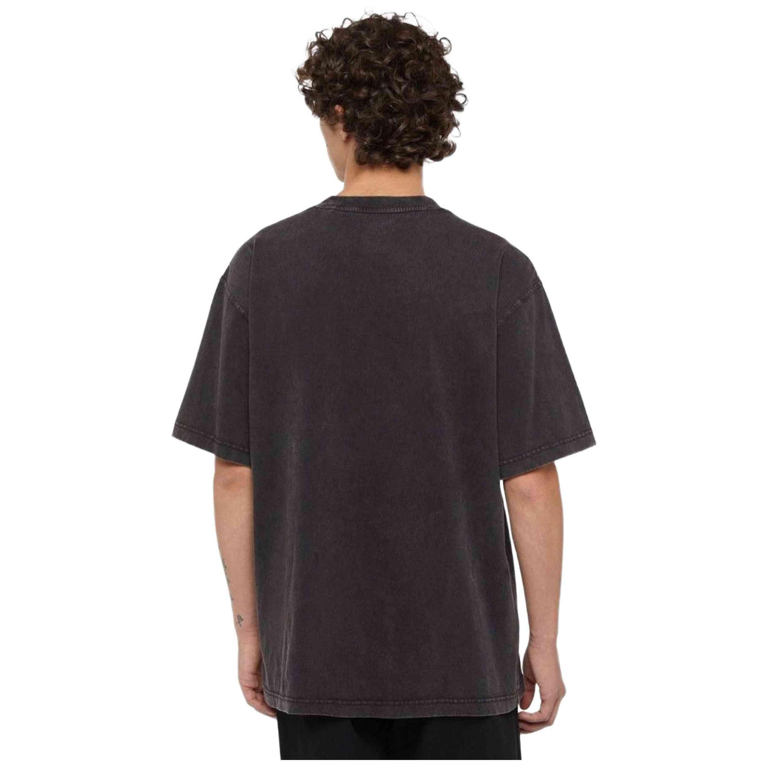 Maglia a maniche corte Dickies modello DK0A866BH861 per uomini 2/5