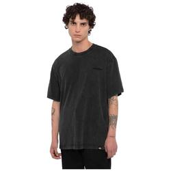 T-shirt pour homme Dickies Plentywood Noir