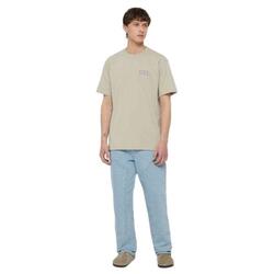 T-shirt Dickies modèle DK0A4Y8OSS01 pour homme