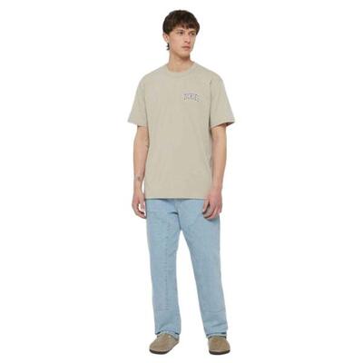 Camiseta de manga corta Dickies modelo DK0A4Y8OSS01 para hombre