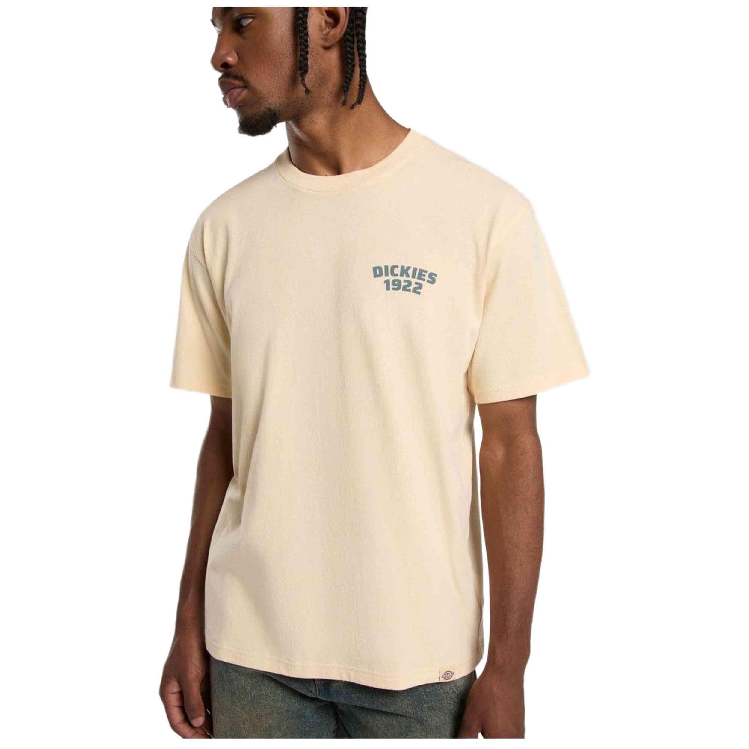 T-shirt Dickies modèle DK0A4Z96K531 pour homme 3/5
