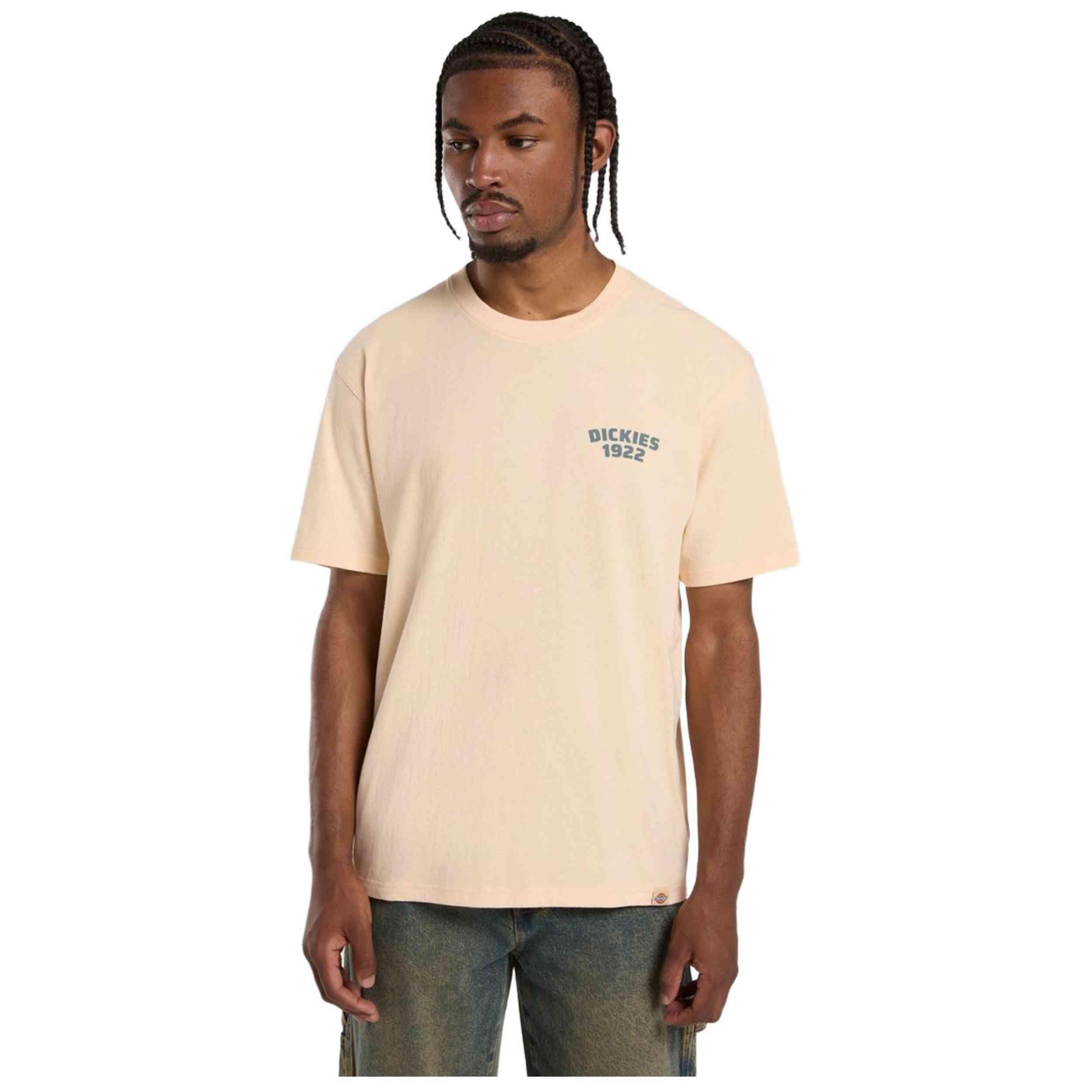DICKIES picture