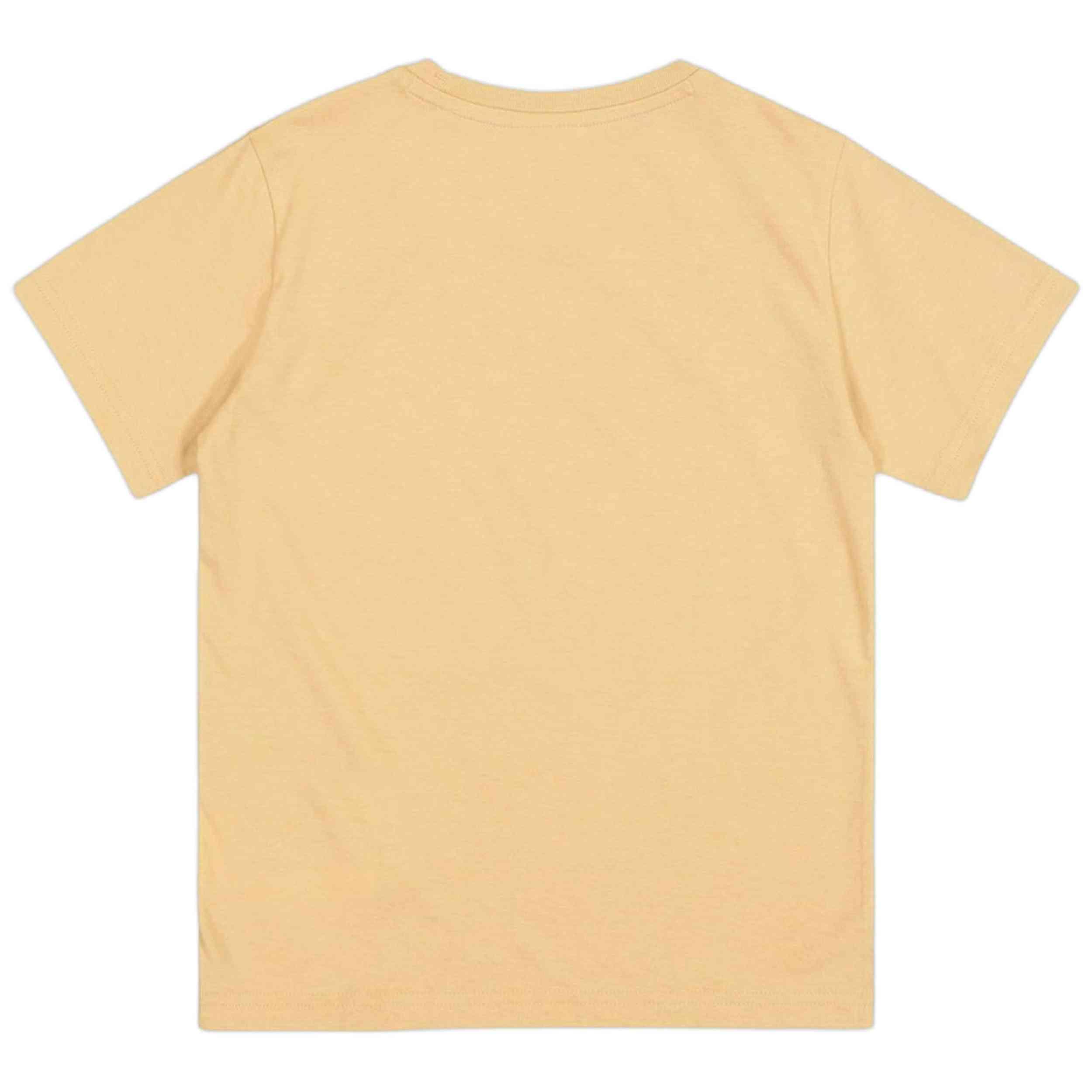 T-shirt Champion modèle 306879-MS091 pour enfants 2/2