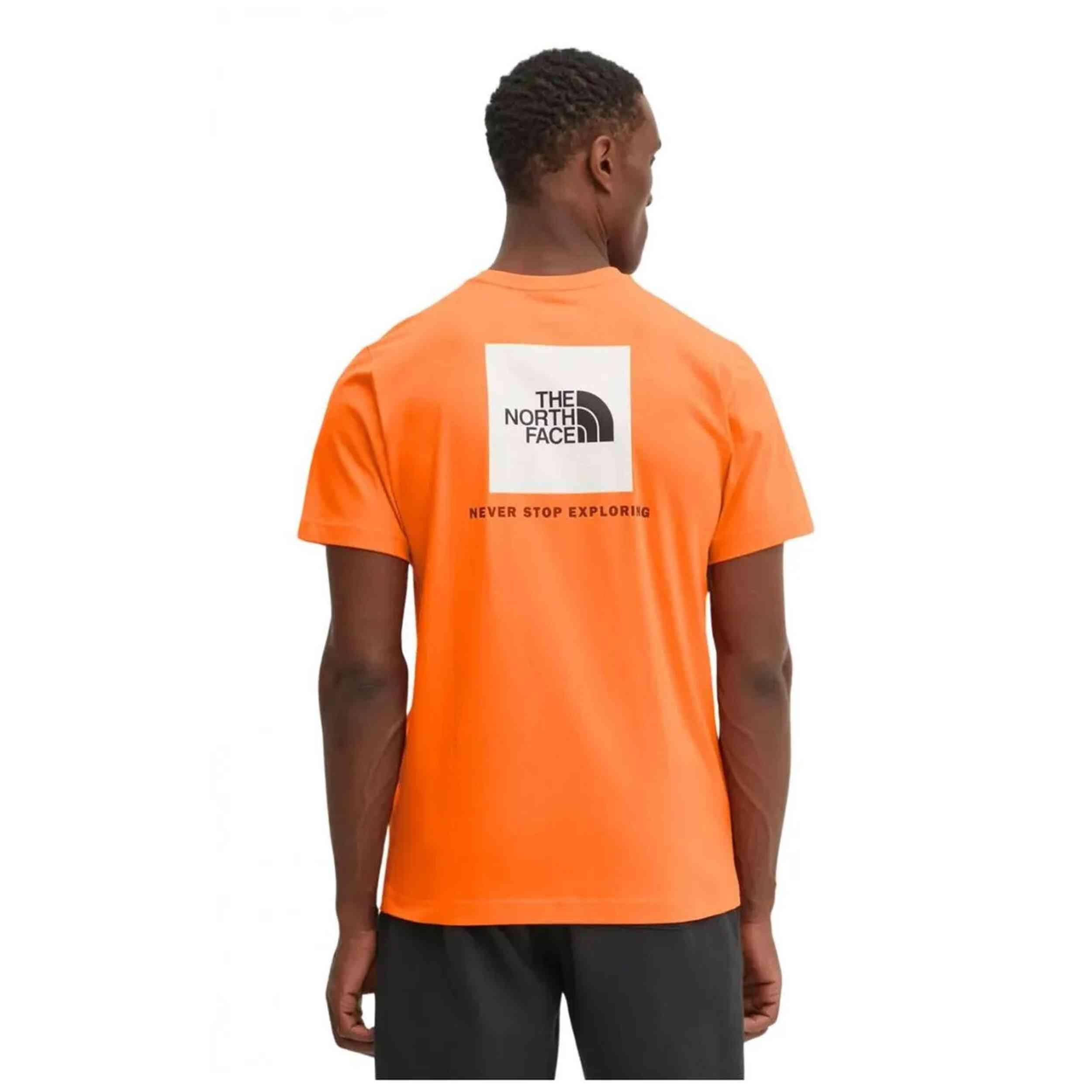 T-shirt The north face modèle NF0A87NPAQE1 pour homme 2/2