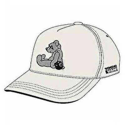 Pet vans model vn000nbqfs81 voor mannen