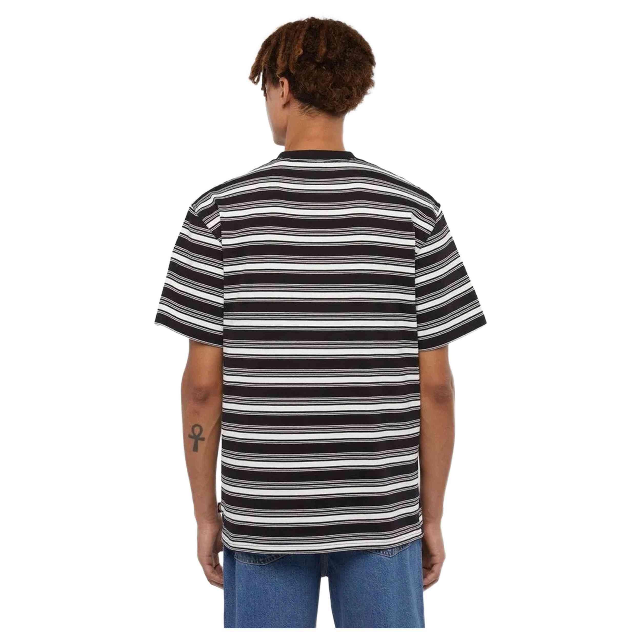 Maglia a maniche corte Dickies modello DK0A8642C581 per uomini 2/4