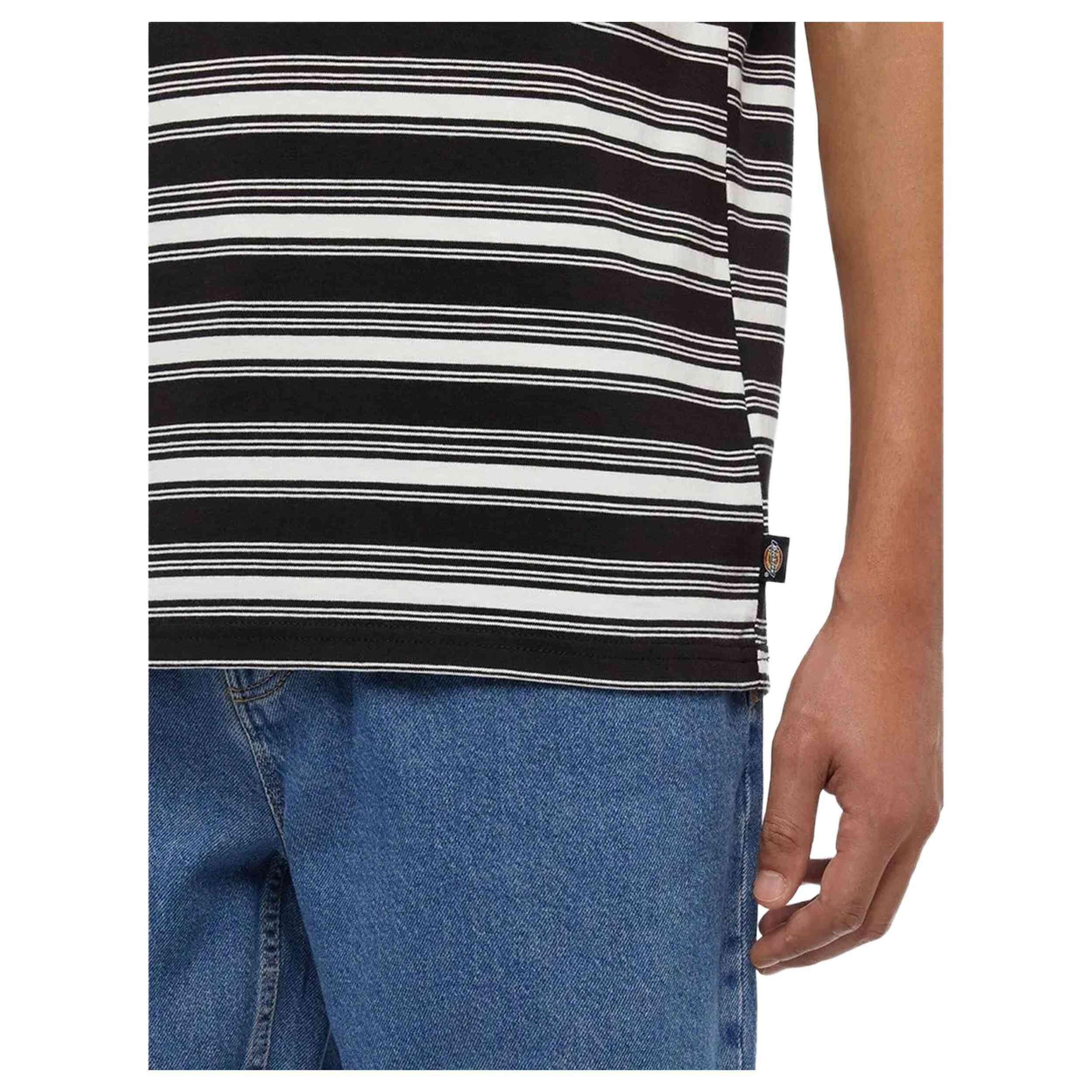 Maglia a maniche corte Dickies modello DK0A8642C581 per uomini 4/4