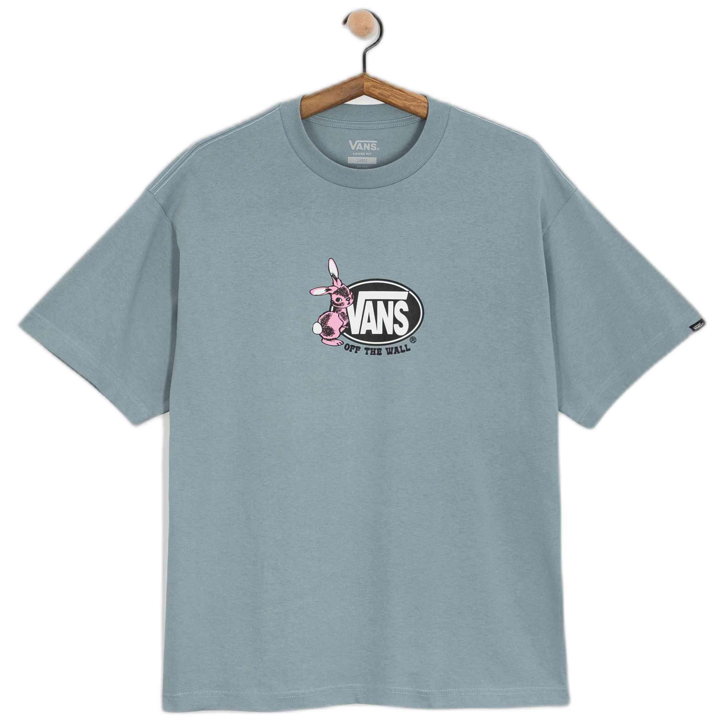 VANS picture