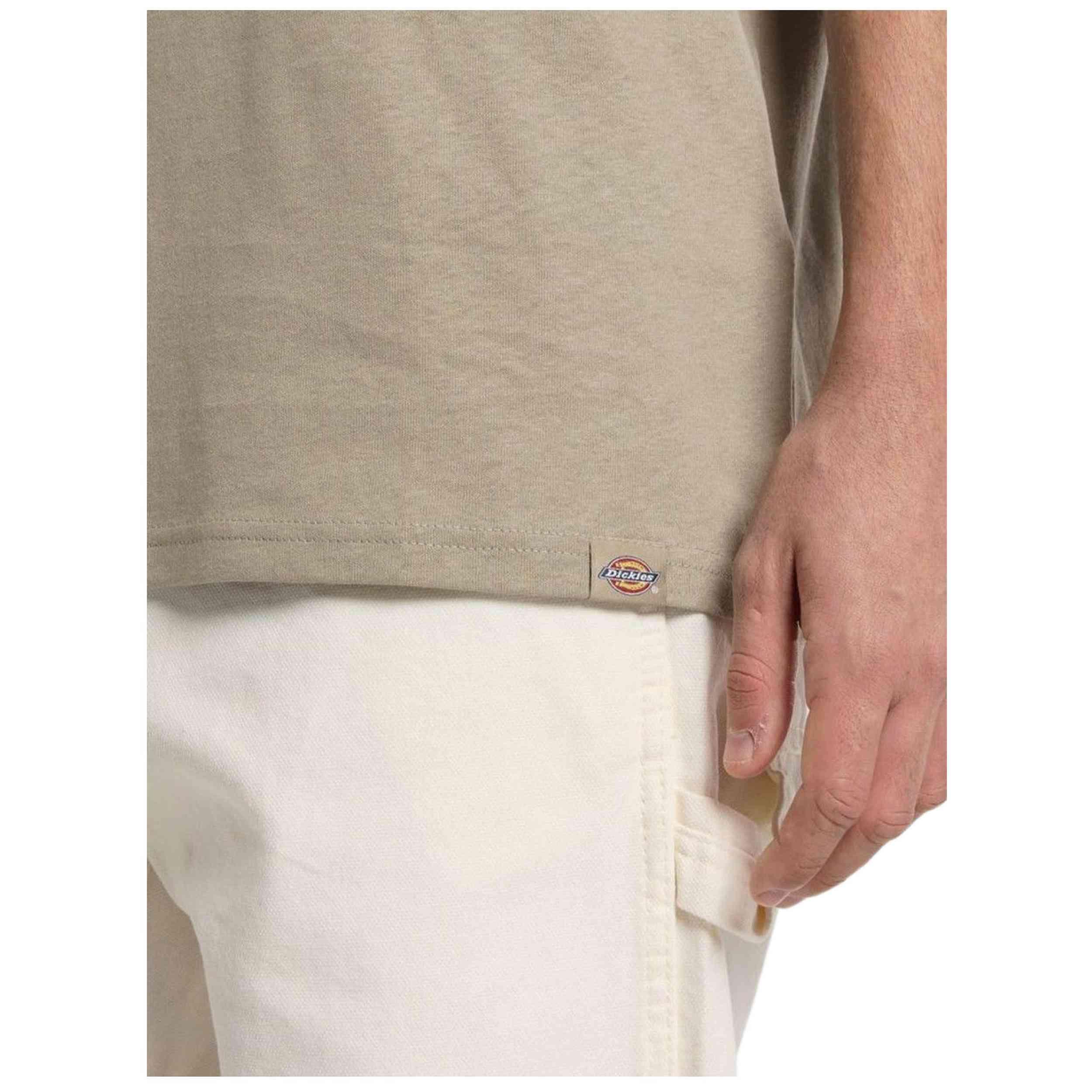 T-shirt Dickies modèle DK0A4Z8R0DS1 pour homme 3/7
