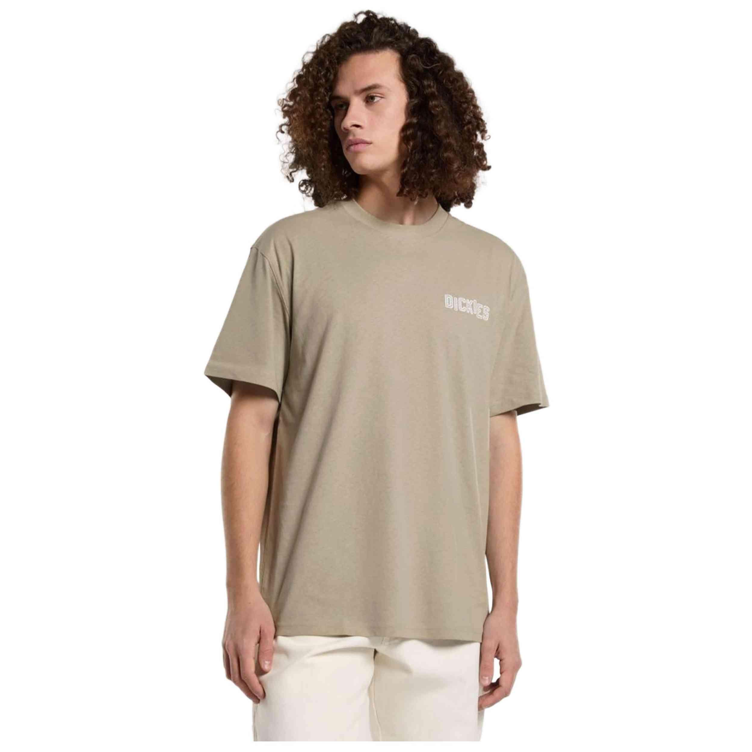 T-shirt Dickies modèle DK0A4Z8R0DS1 pour homme 2/7