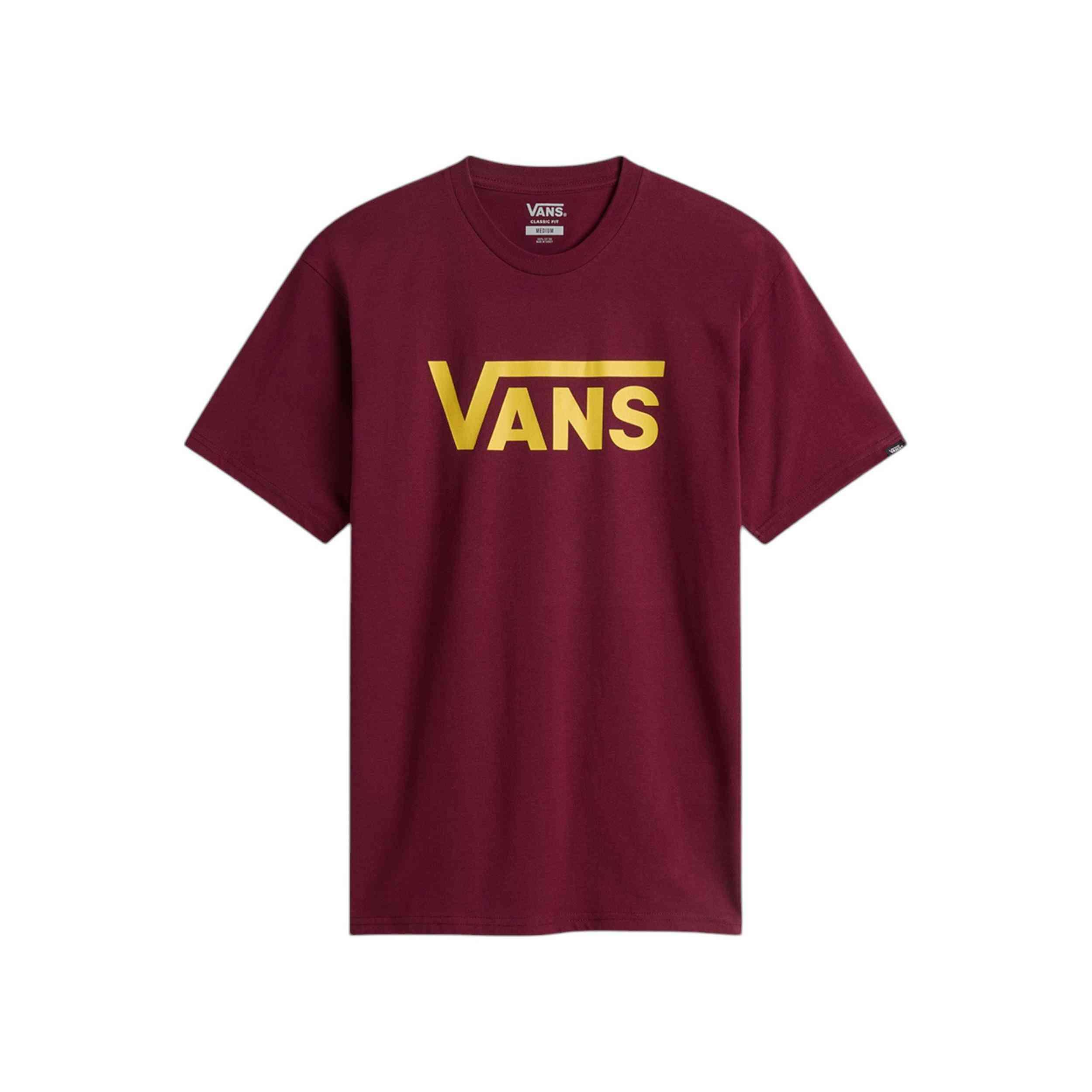 VANS picture