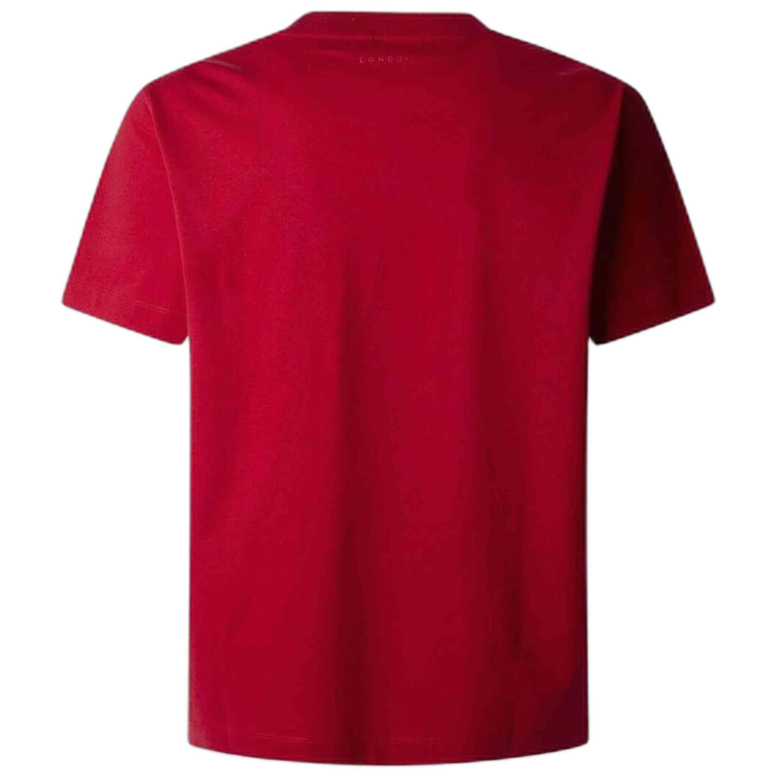 T-shirt Pepe jeans modèle PM509781 285 pour homme 2/2