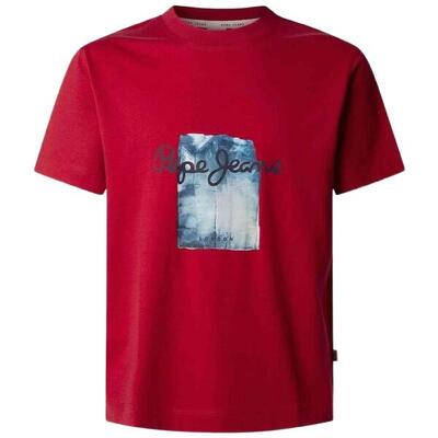 T-shirt met korte mouwen pepe jeans model pm509781 285 voor mannen