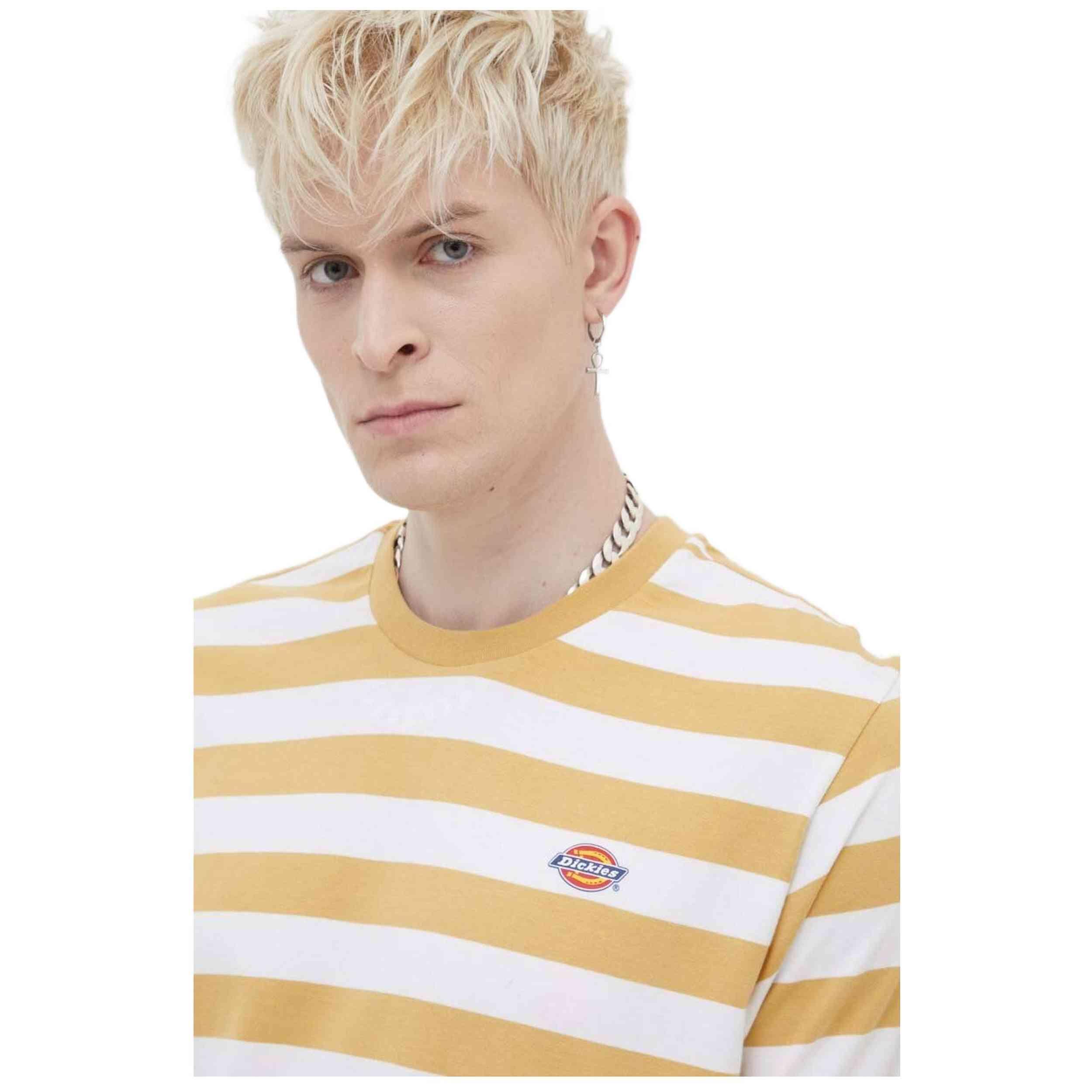 Maglia a maniche corte Dickies modello DK0A4YRNK411 per uomini 2/4