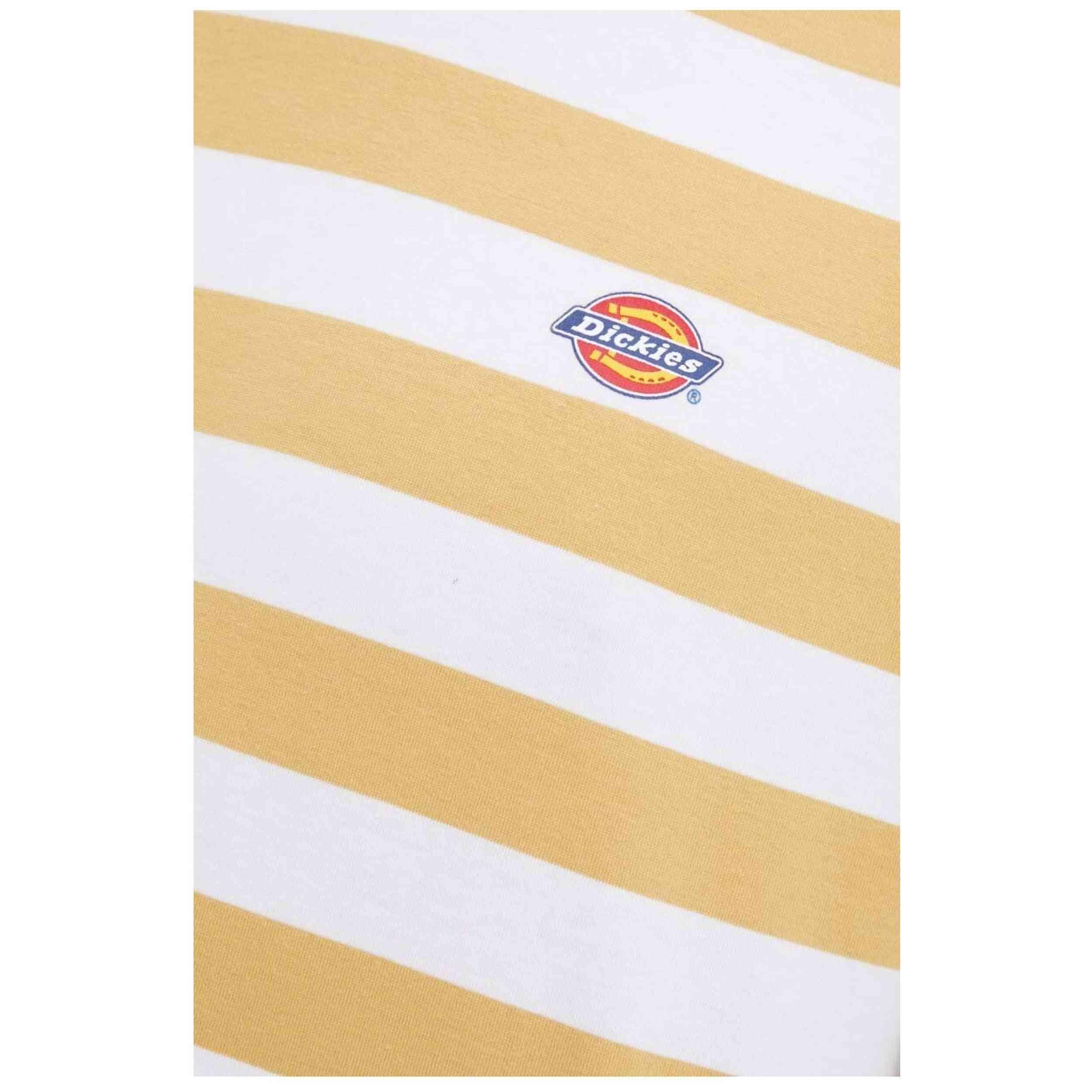 Maglia a maniche corte Dickies modello DK0A4YRNK411 per uomini 4/4