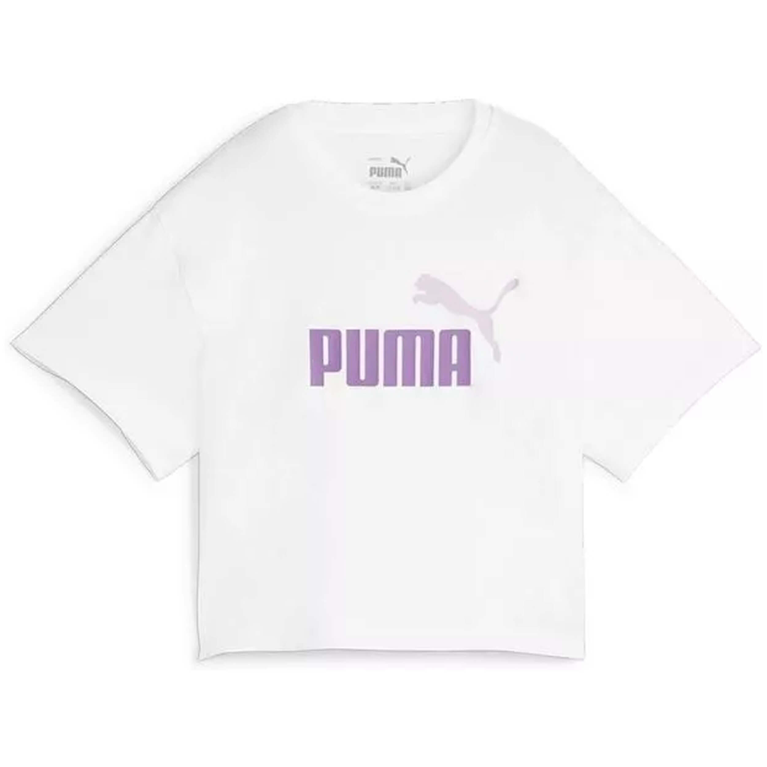 PUMA picture