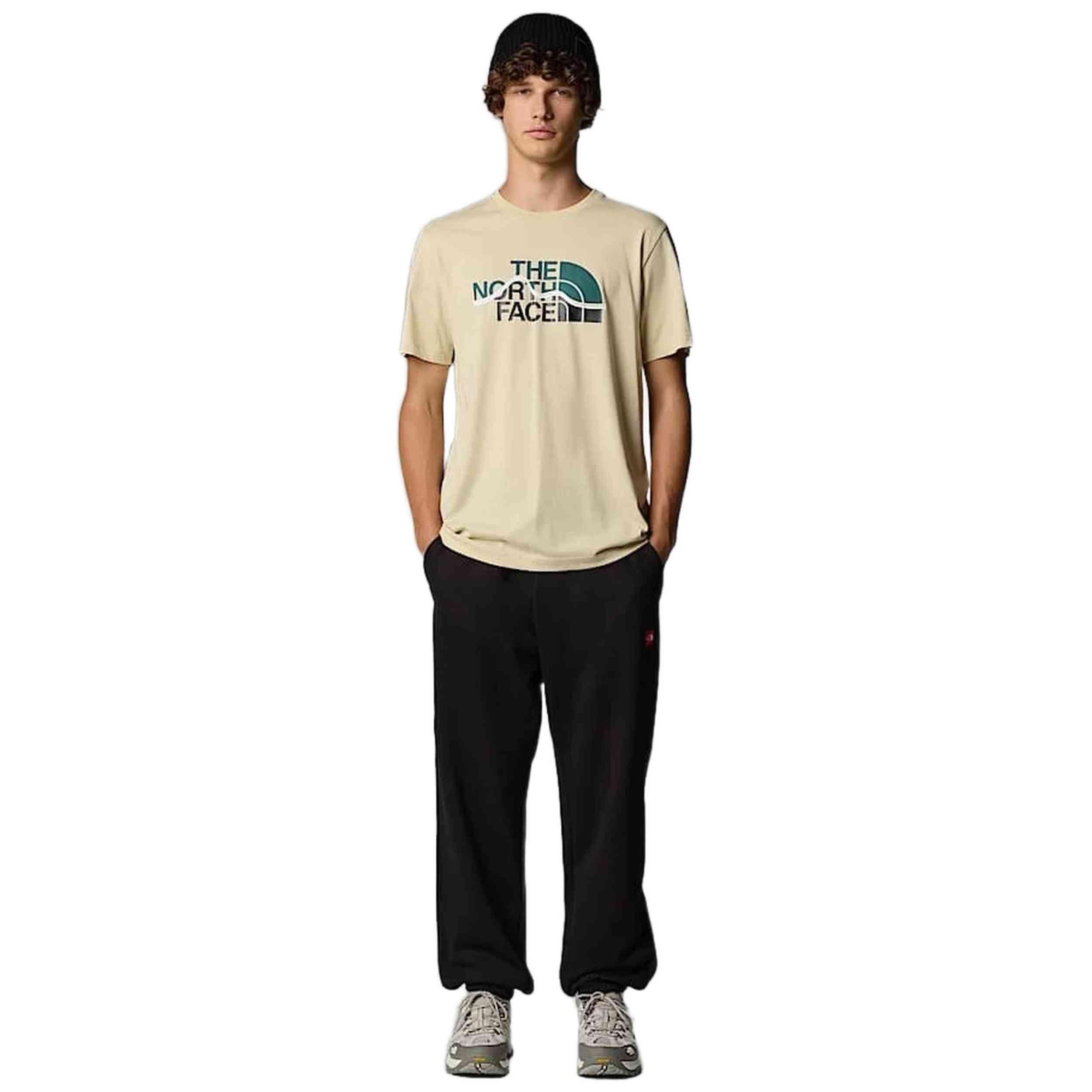 T-shirt The north face modèle NF0A87NT3X41 pour homme 4/5