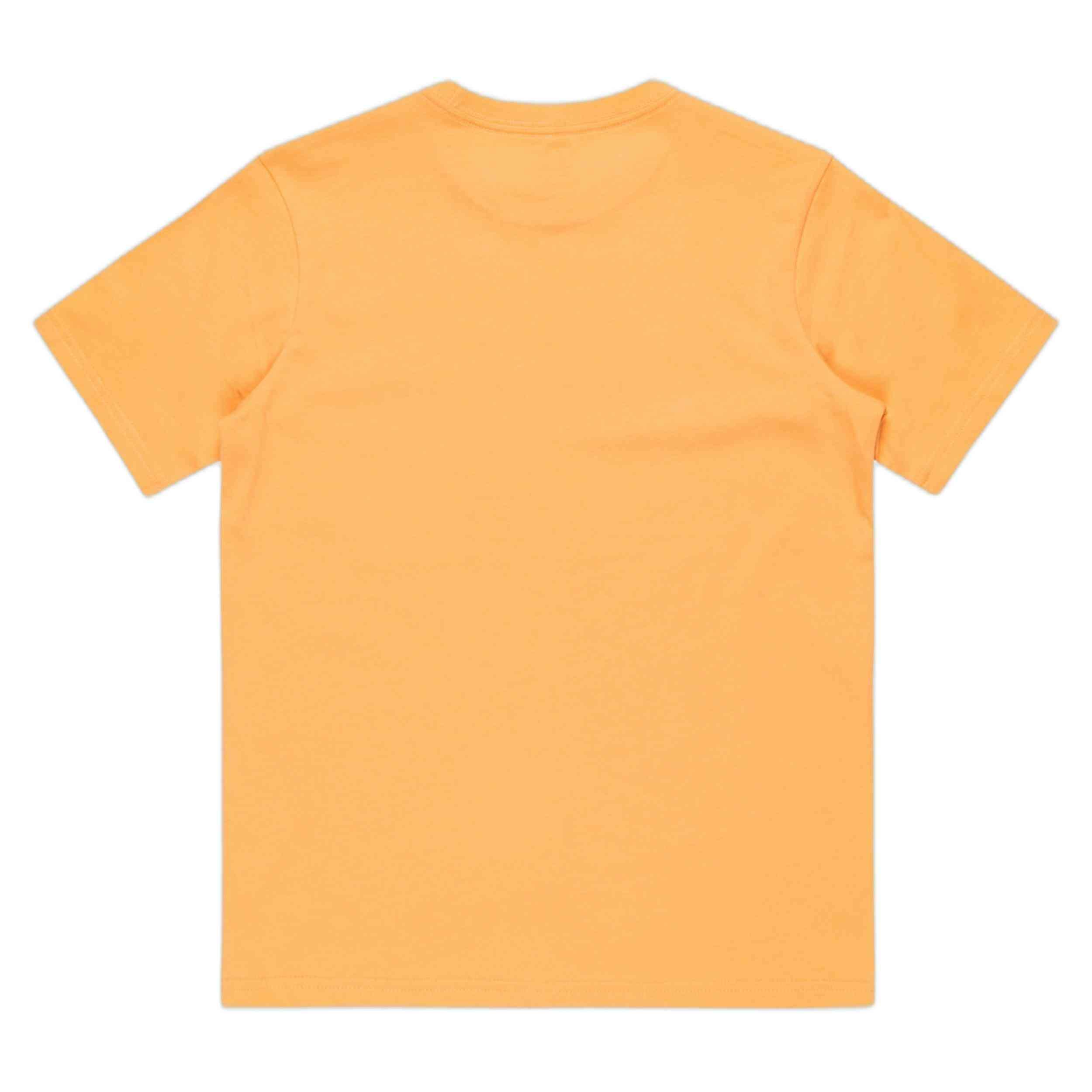 T-shirt Quiksilver modèle EQBZT04845-NGR0 pour enfants 2/2