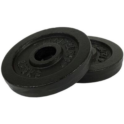 Halterschijven - halter gewichten - ? 30 mm - gietijzer