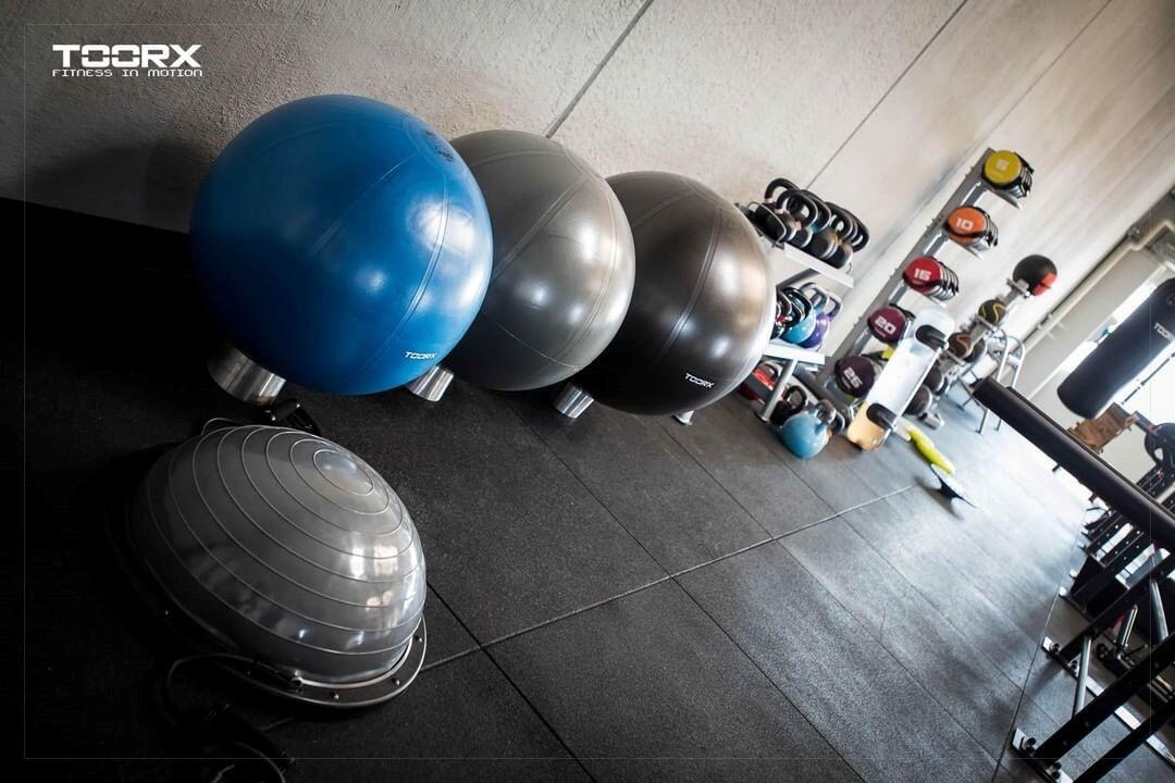 Gymbal PRO - 500 kg - 55 cm - Blauw 2/4