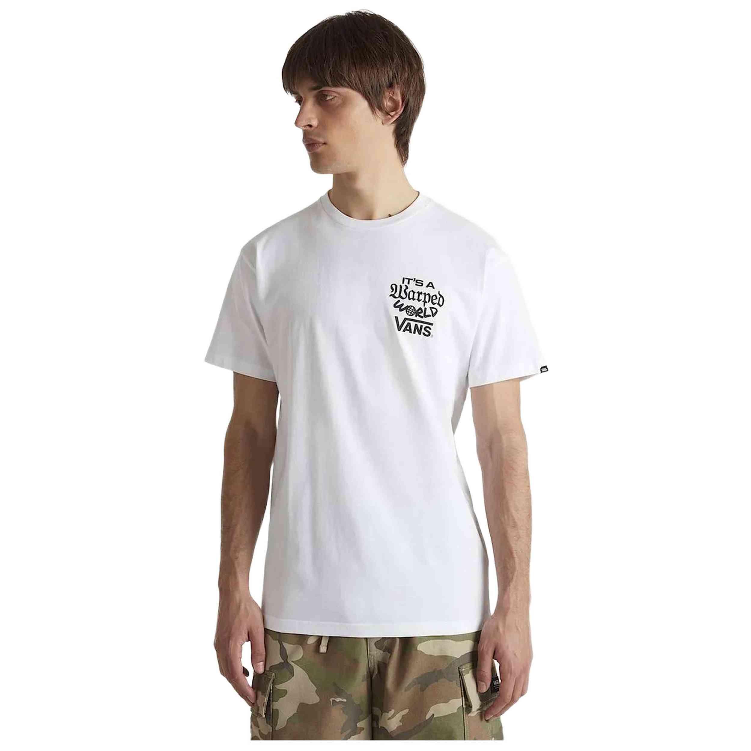 VANS picture