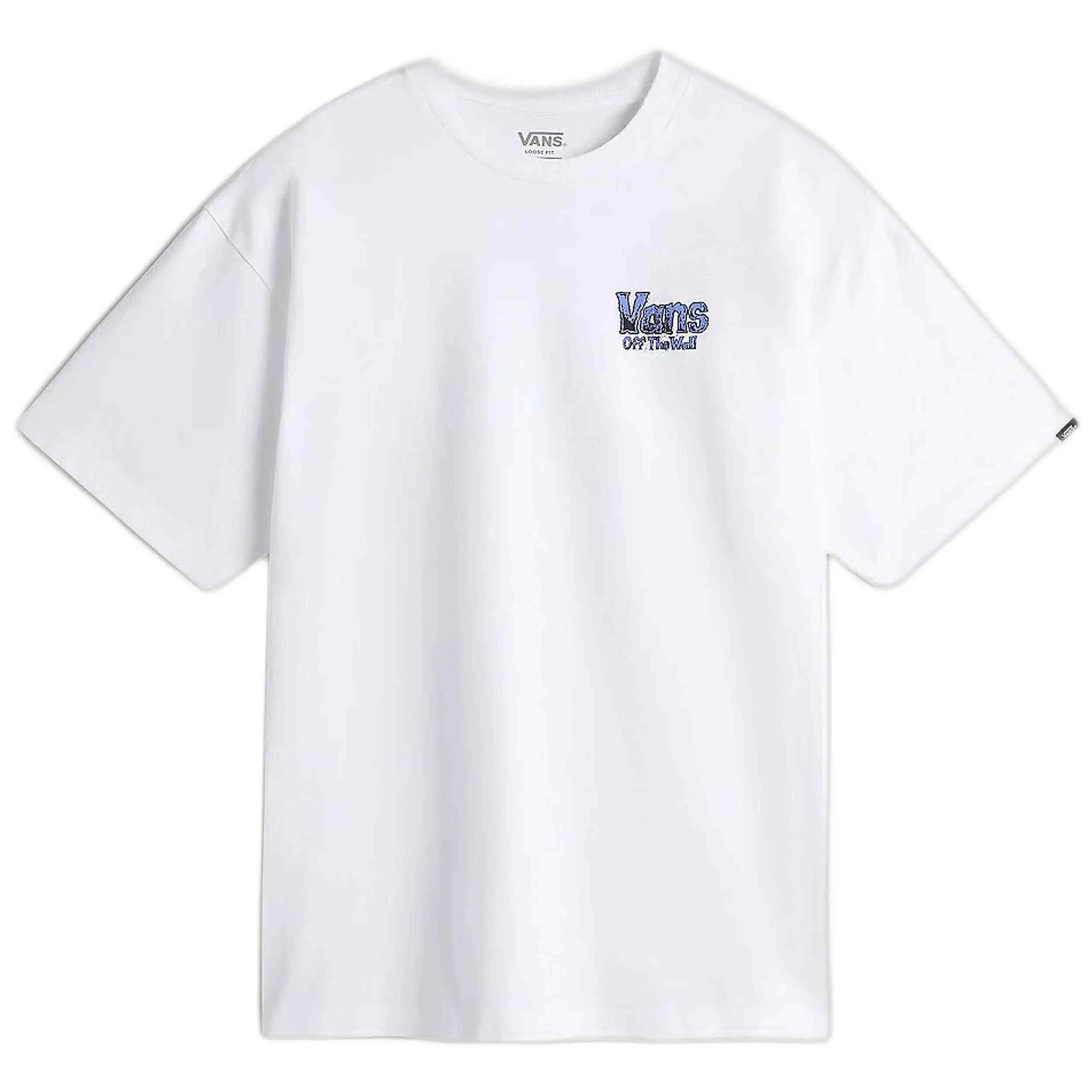 VANS picture