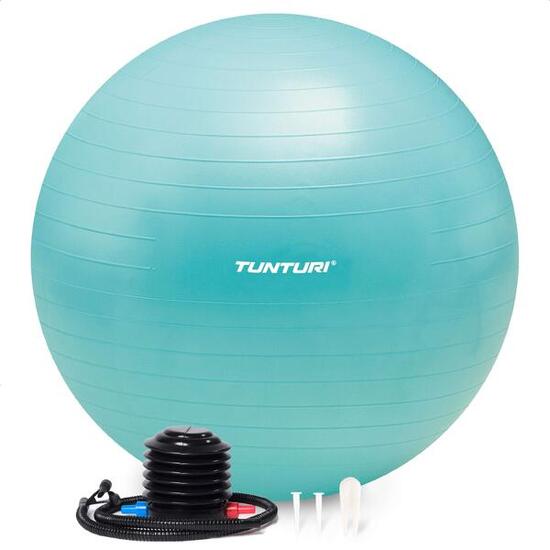 Ballon de fitness - Ballon de yoga - Pompe incluse - Capacité de charge 220 kg
