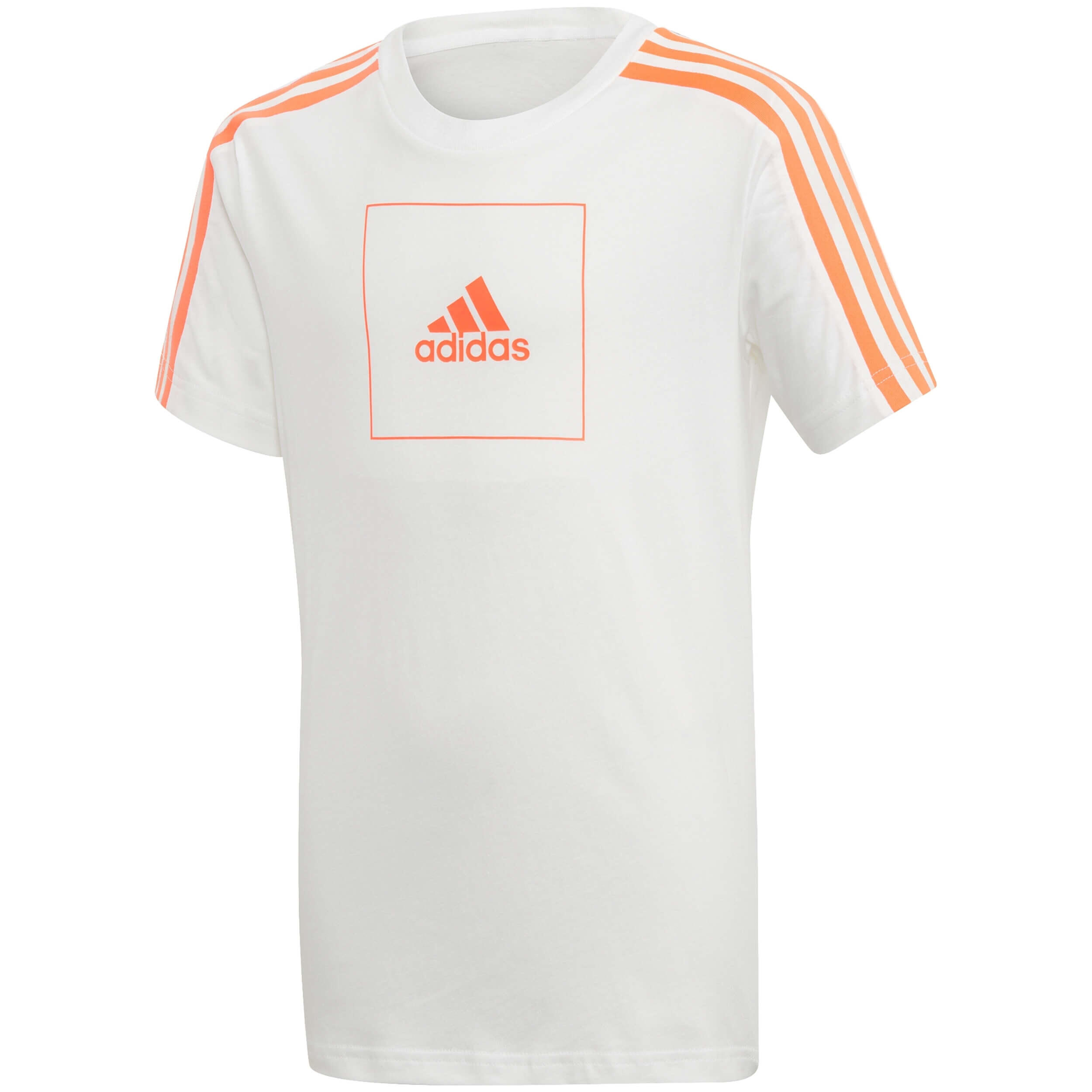 ADIDAS picture
