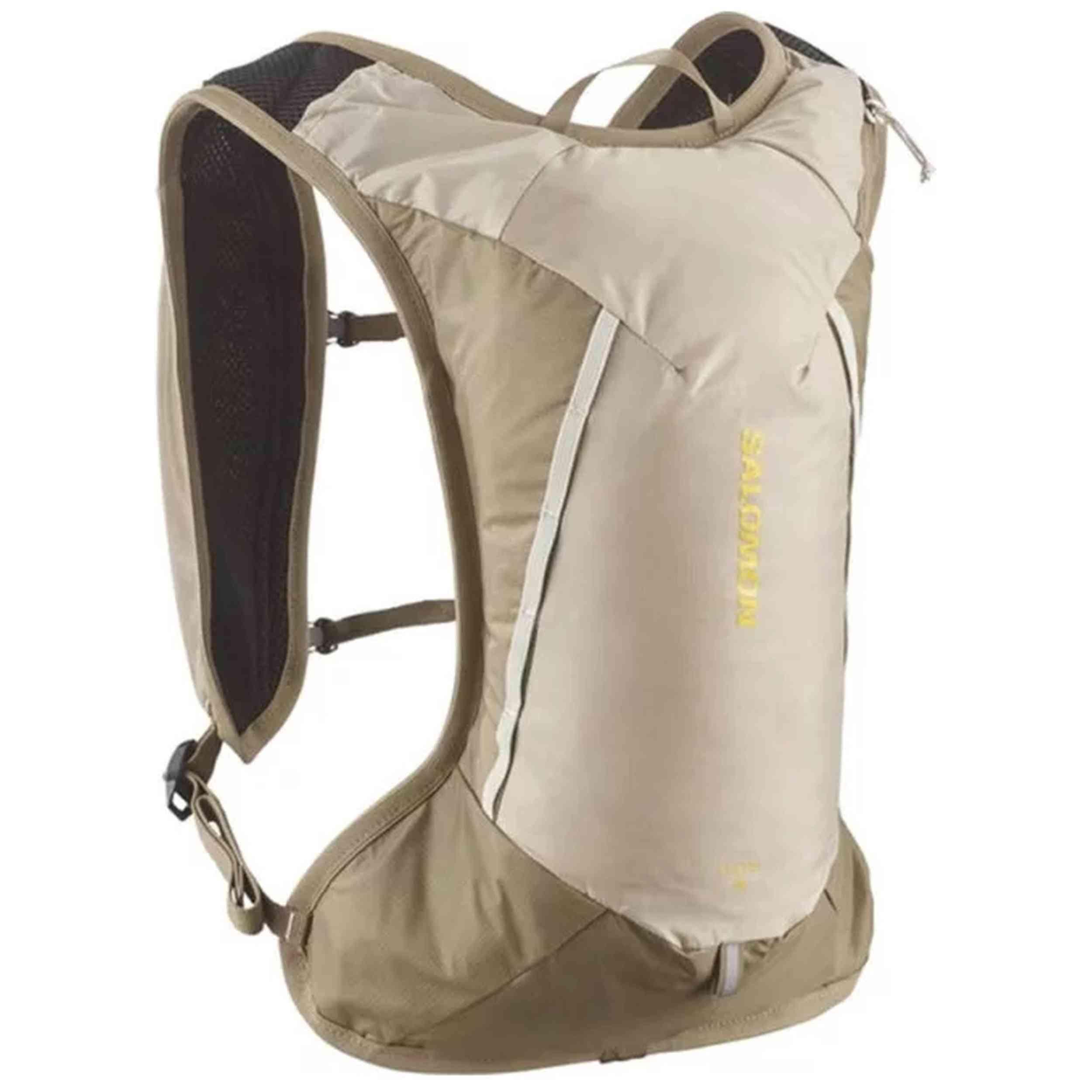 SALOMON picture