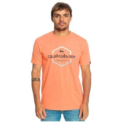 T-shirt met korte mouwen quiksilver model eqyzt07275-mhv0 voor mannen