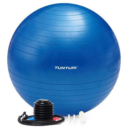 Ballon de fitness - Ballon de yoga - Pompe incluse - Capacité de charge 220 kg