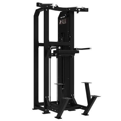 Platinum dual chin up dip krachtstation selectorized v-serie