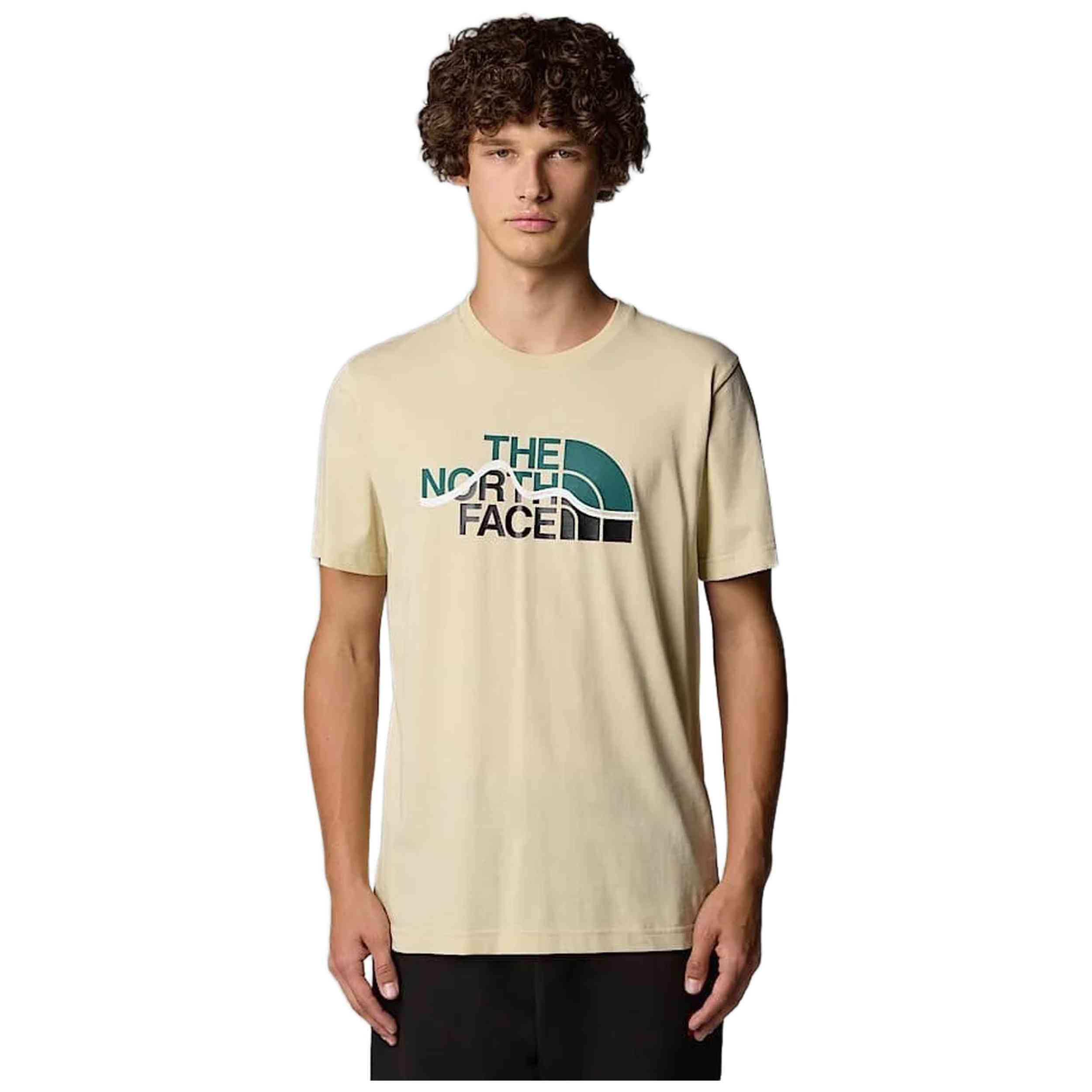 T-shirt The north face modèle NF0A87NT3X41 pour homme 3/5