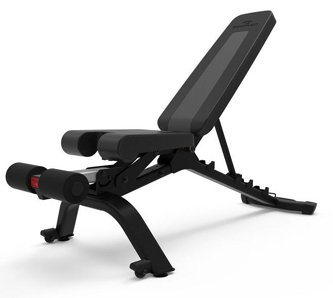BOWFLEX picture