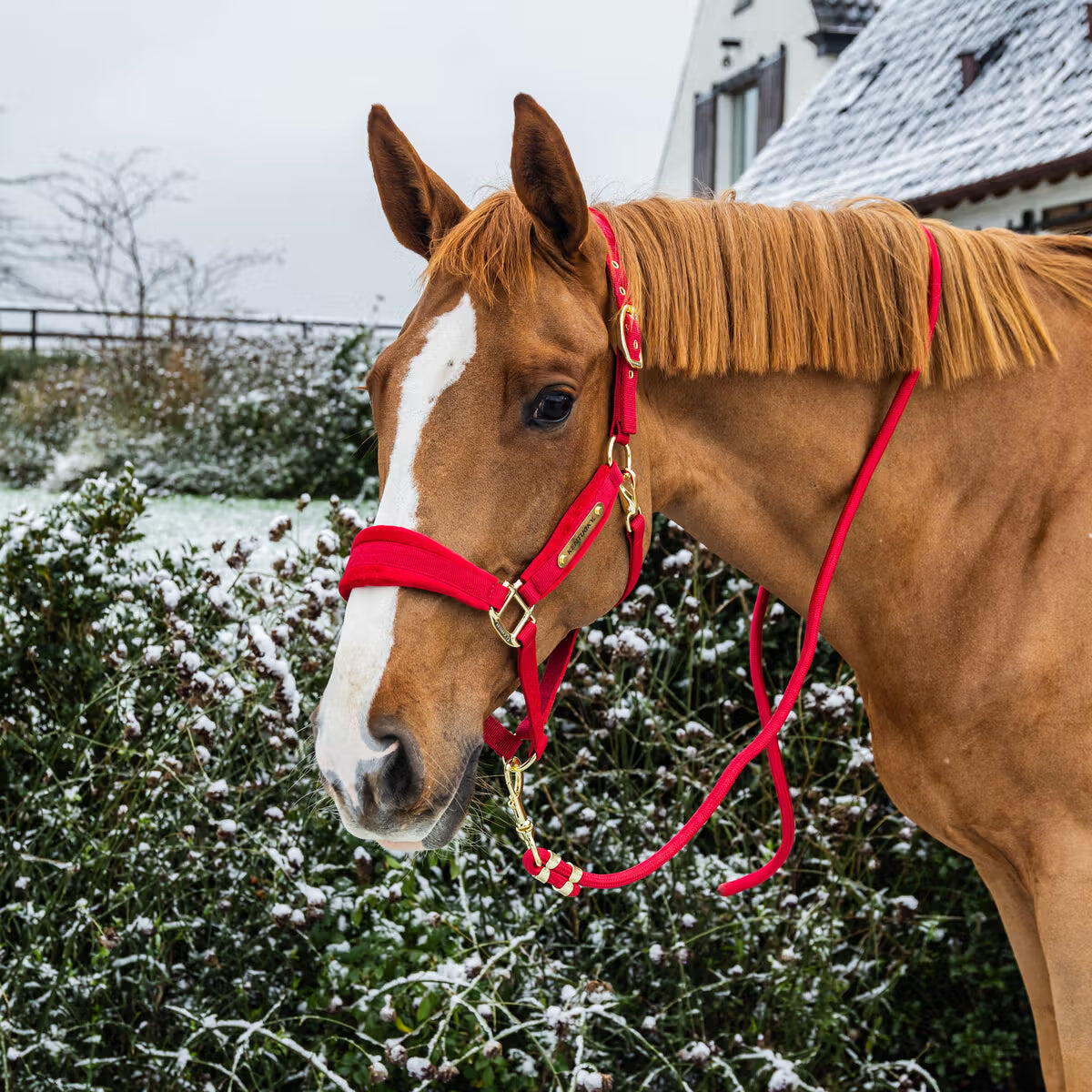 Longe en nylon tressé équitation Kentucky Horsewear 4/4
