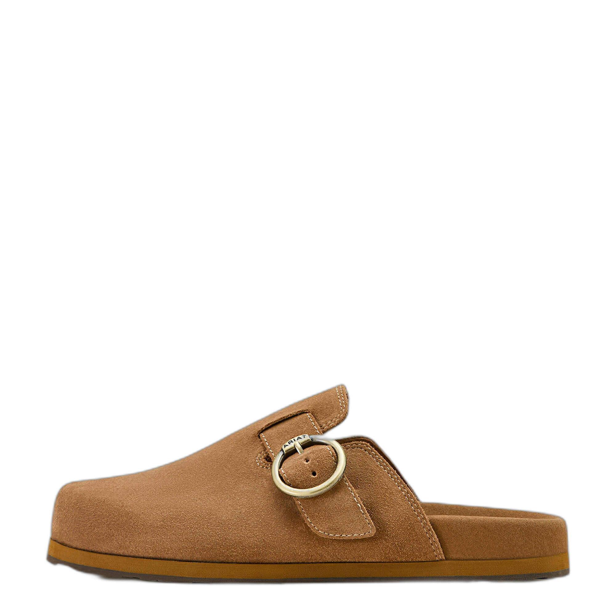 ARIAT picture
