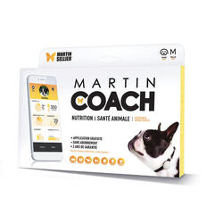 Harnais pour chien Martin Sellier Coach