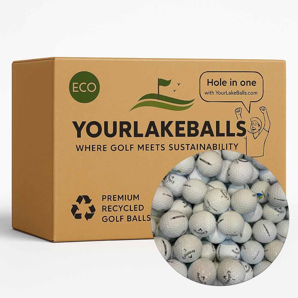 24 Used Callaway Warbird Golf Balls – Lakeballs