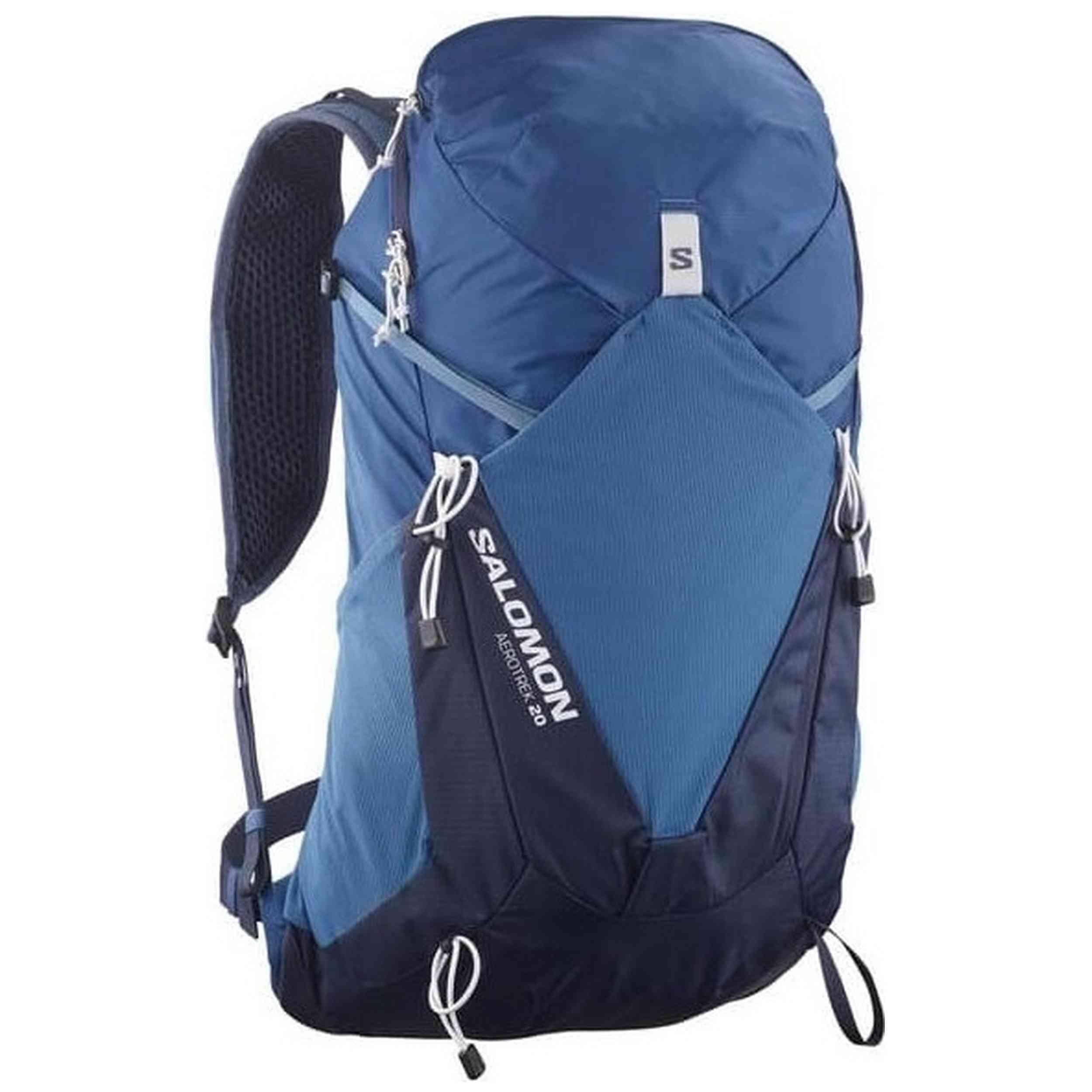SALOMON picture