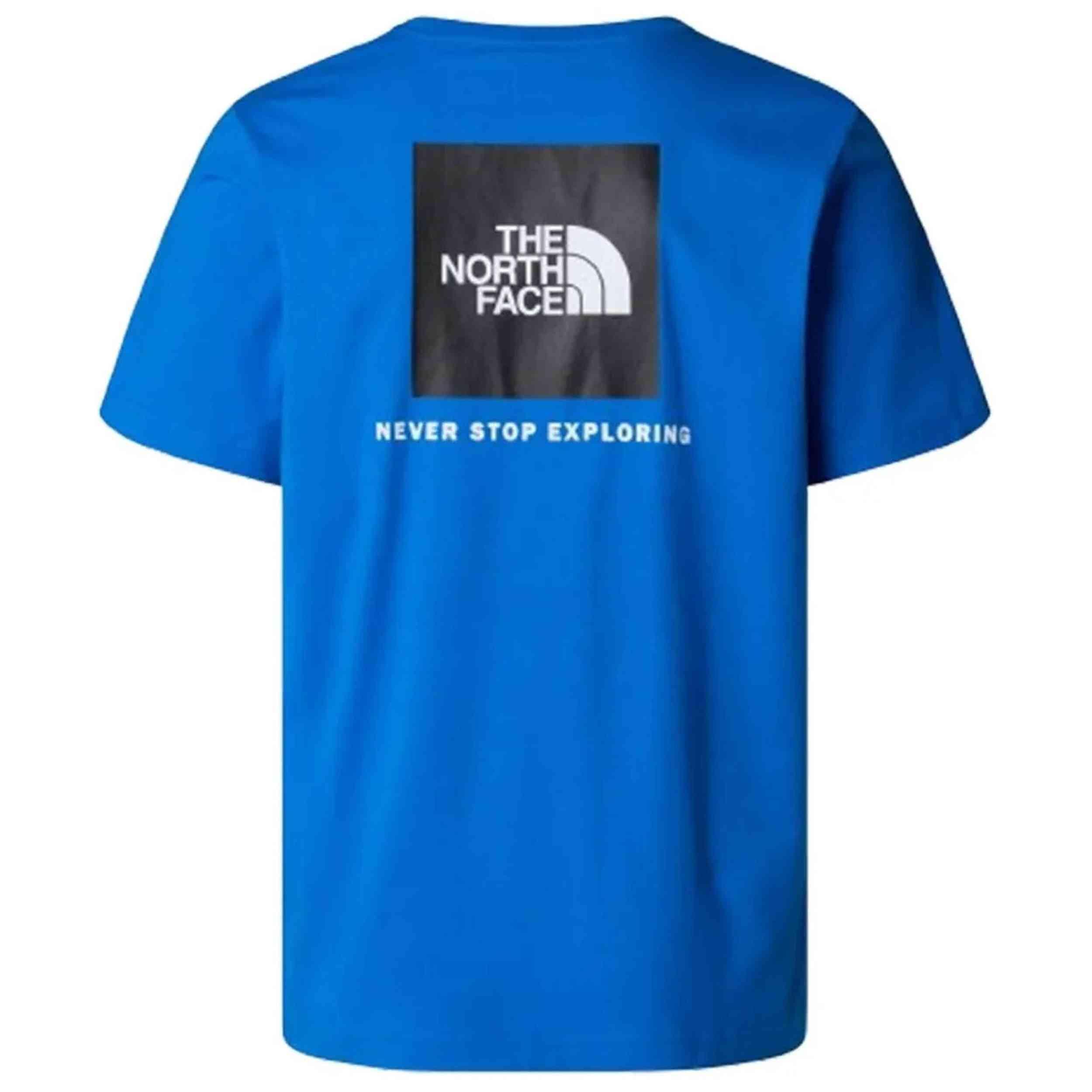 T-shirt The north face modèle NF0A87NP16Y1 pour homme 2/2