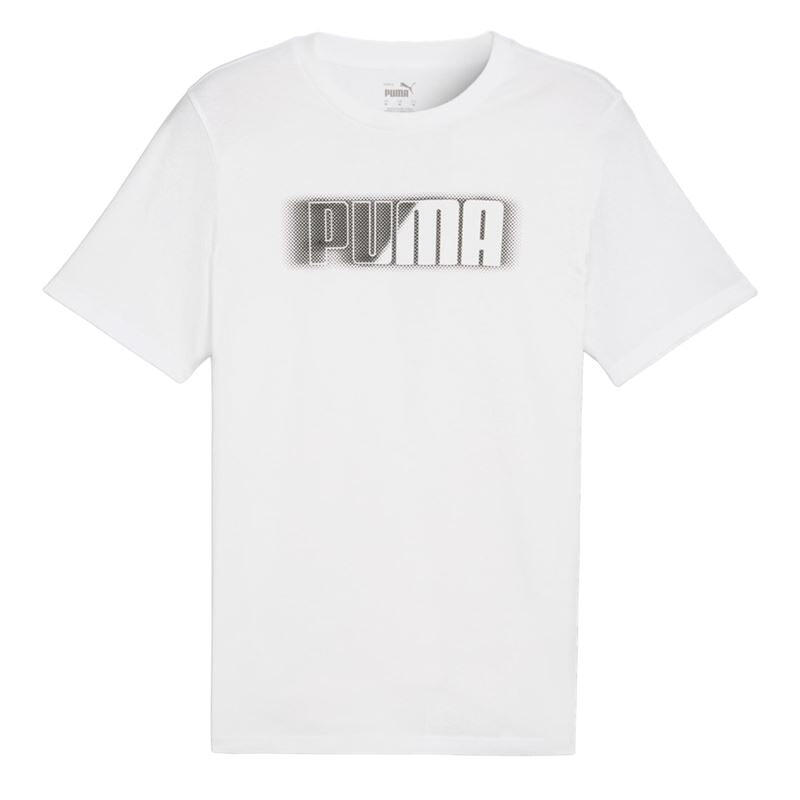 PUMA picture