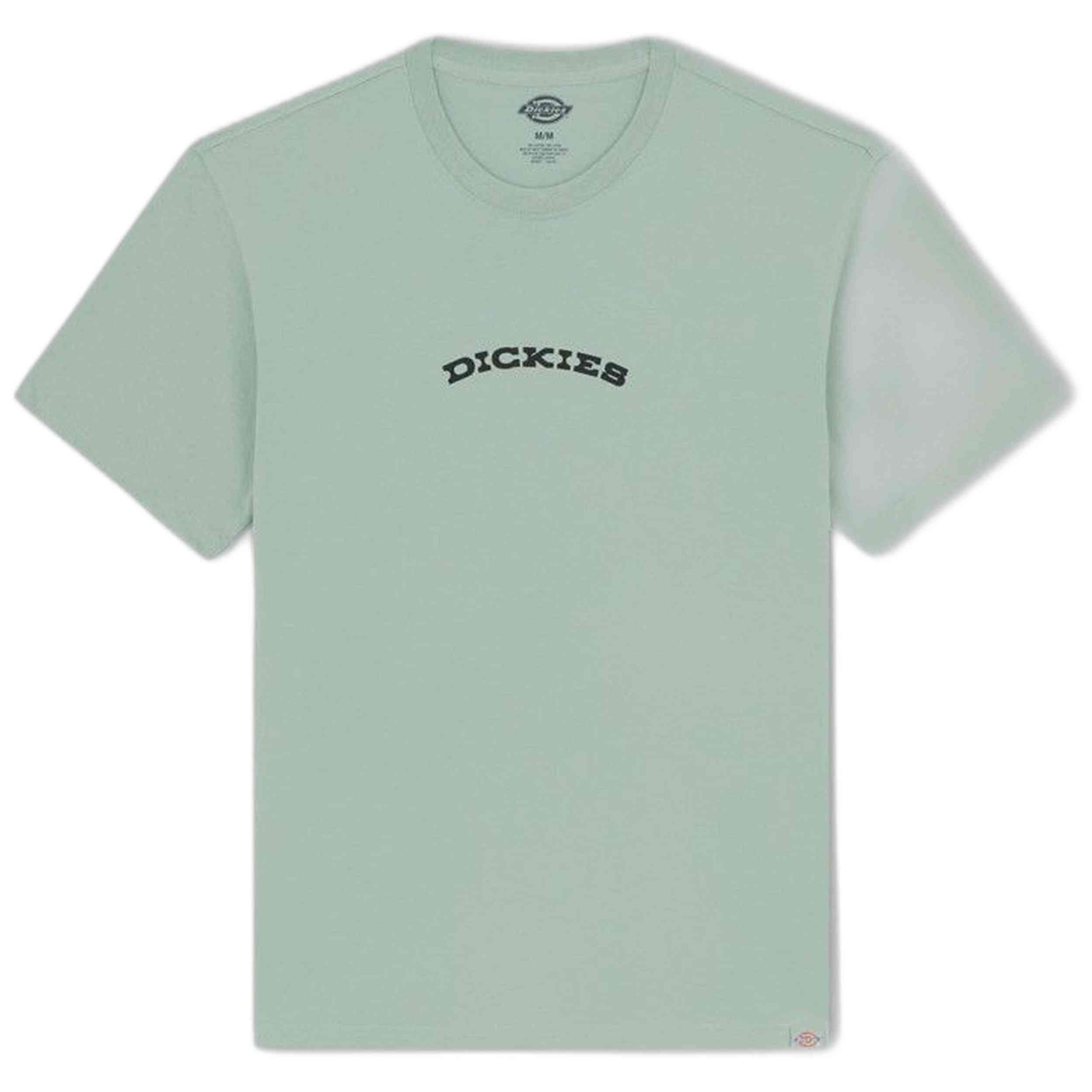 T-shirt pour Homme Dickies Outdoor egret Vert 5/5