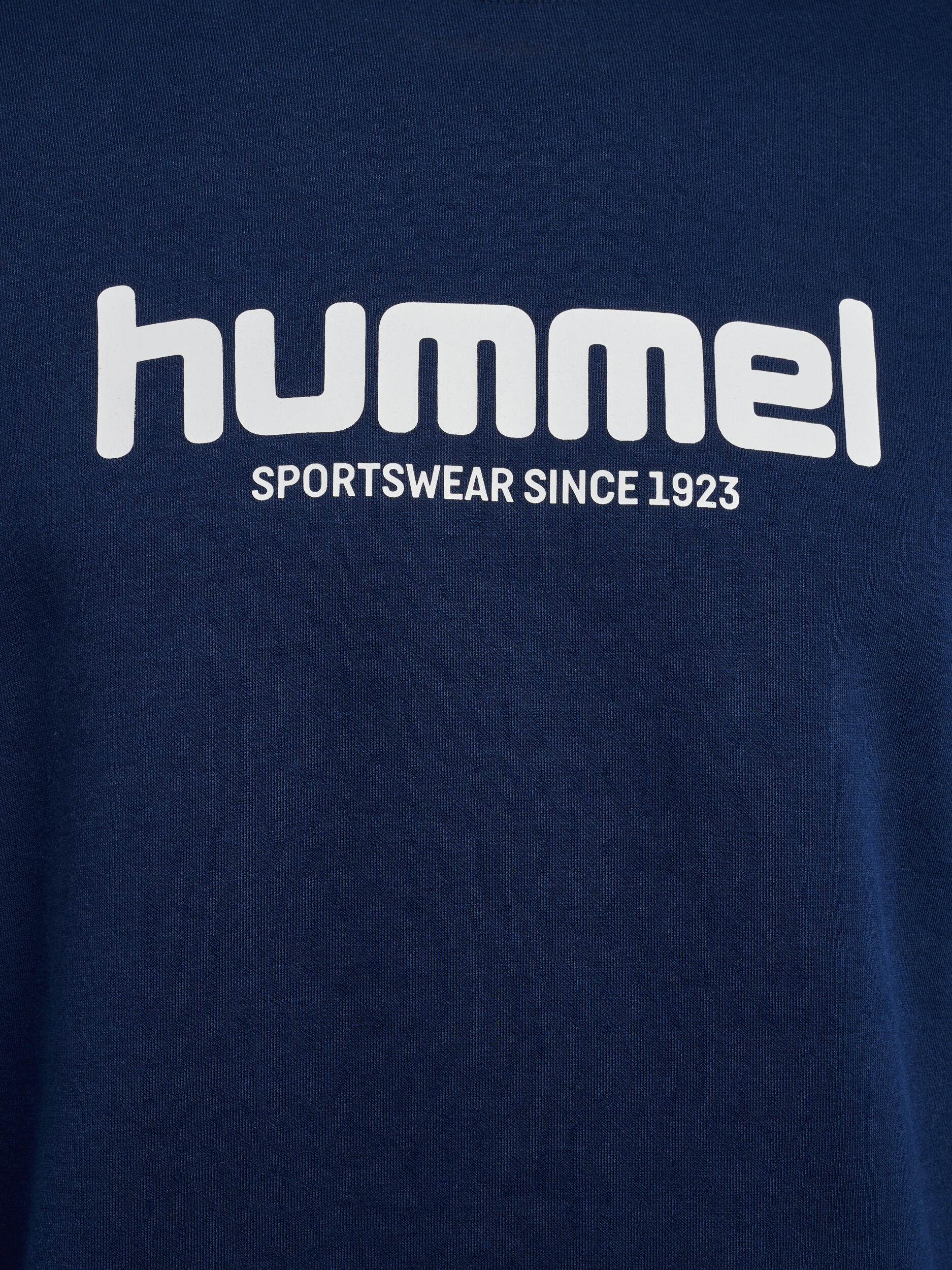 Enfiler Sweat-Shirt Hmllegacy Homme 7/7