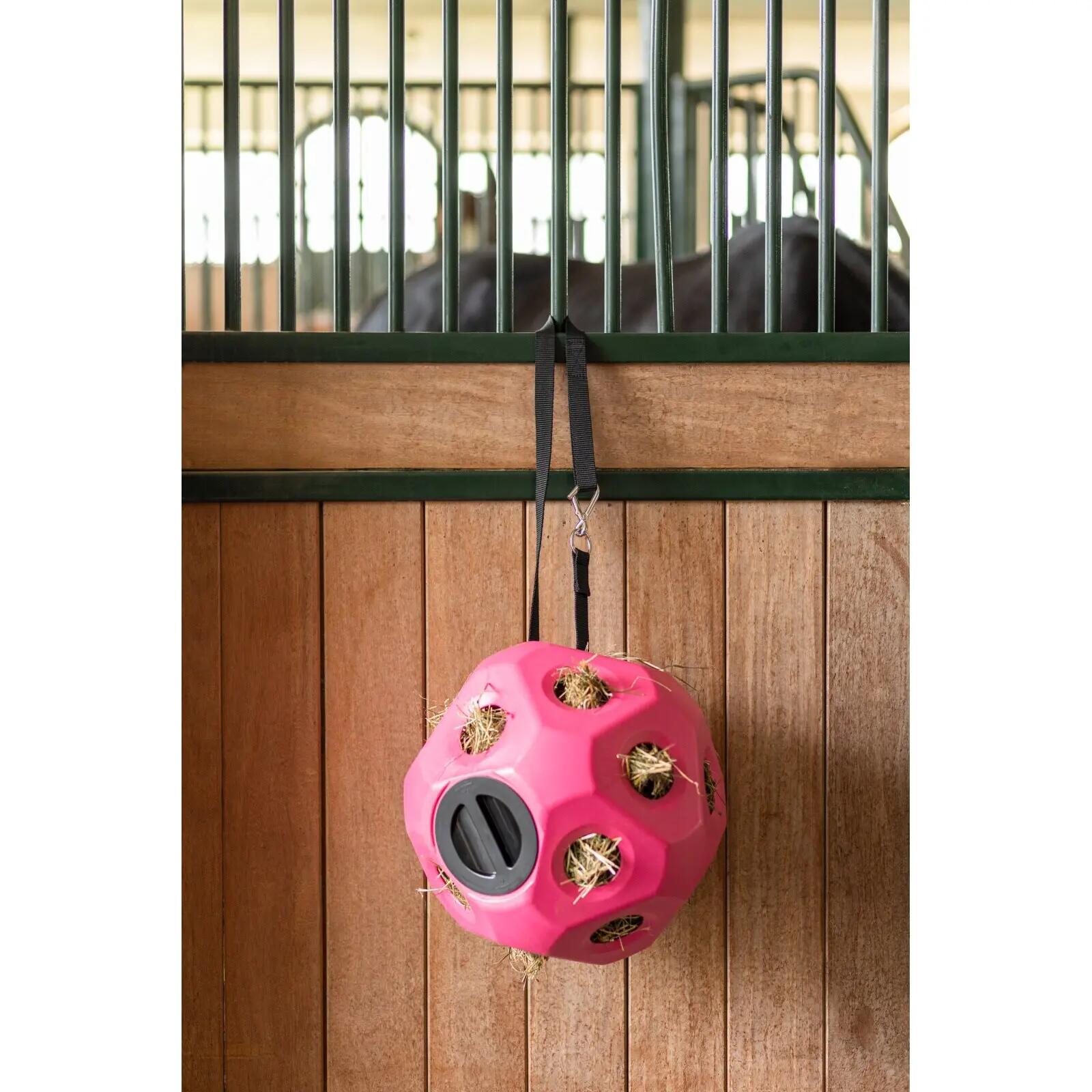 Cincha multifunción para caballos Covalliero 2/3