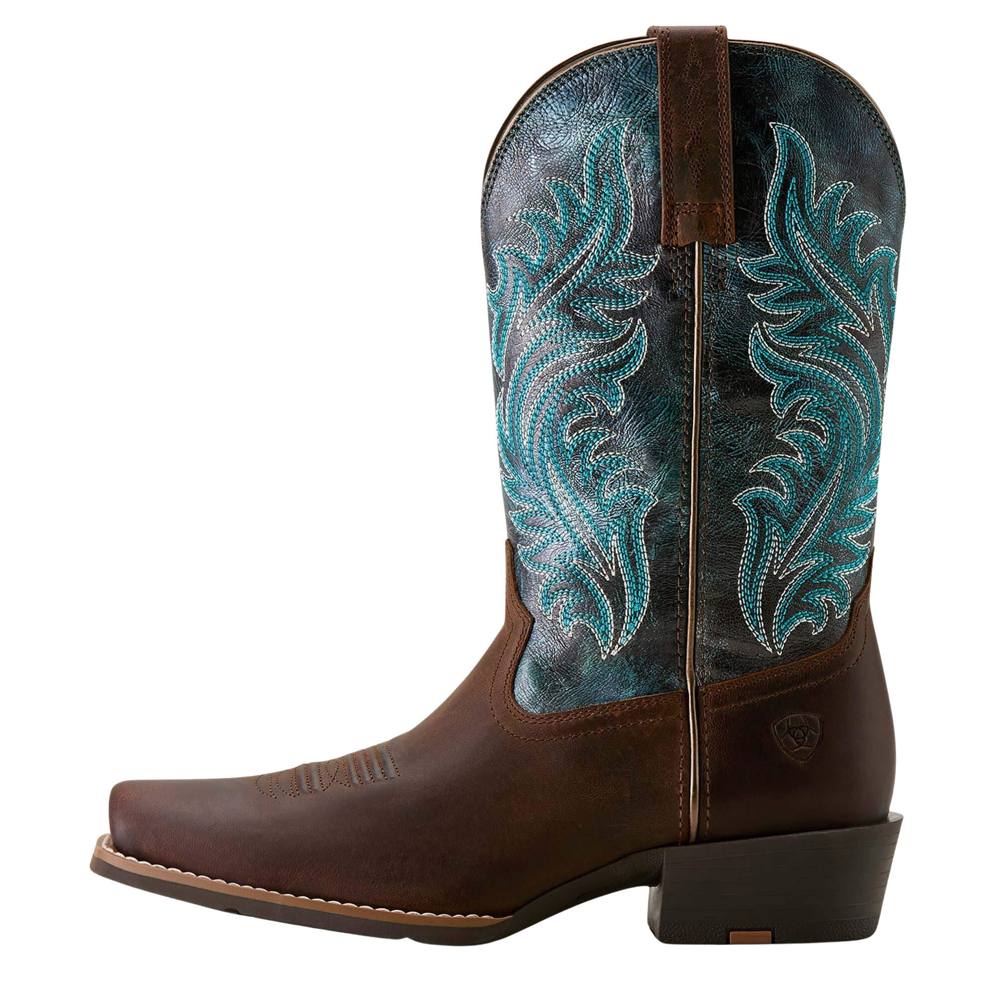 ARIAT picture