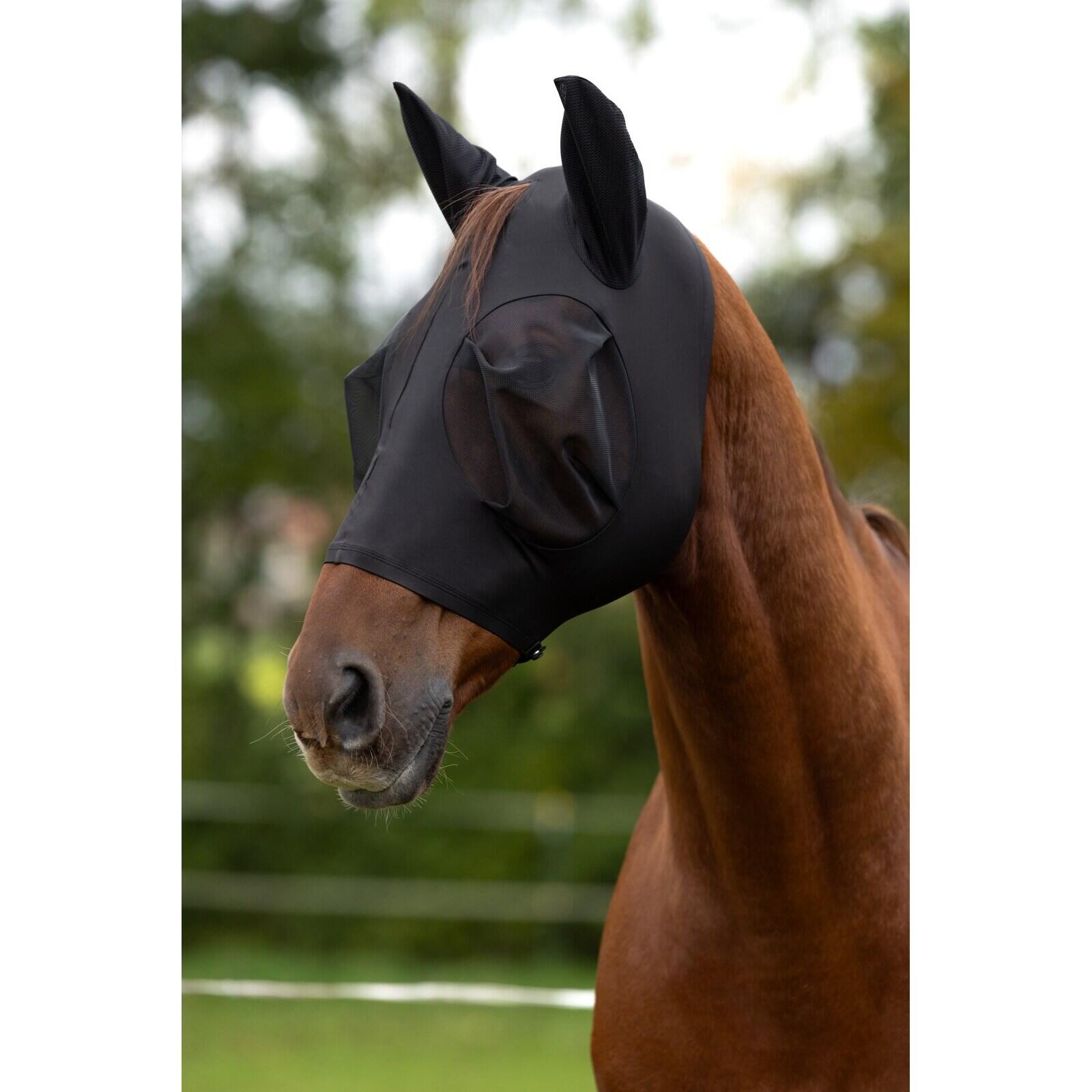 Masque anti-mouches pour cheval Covalliero FinoStretch 2/3
