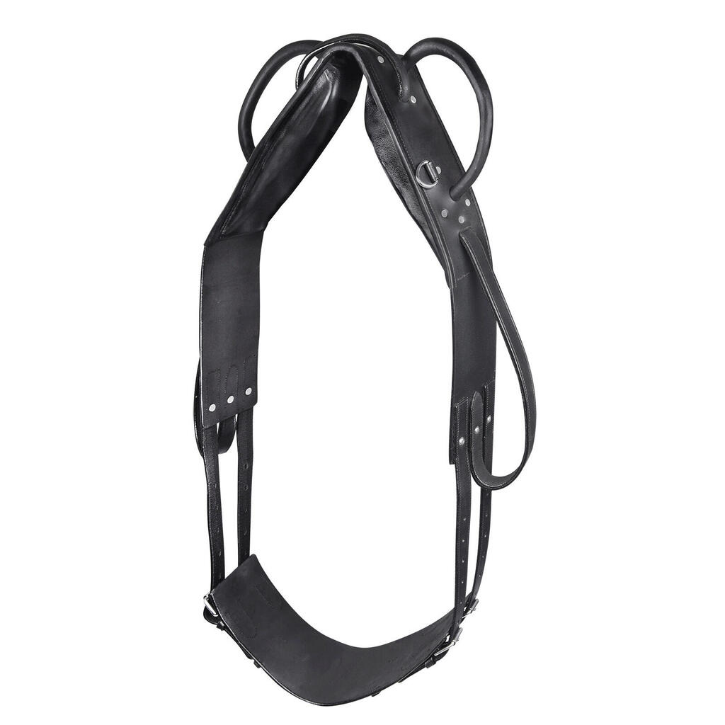 Lungeing and vaulting girth for horses Star