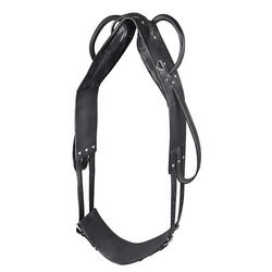 Surfaix pour cheval voltige et de longe Star